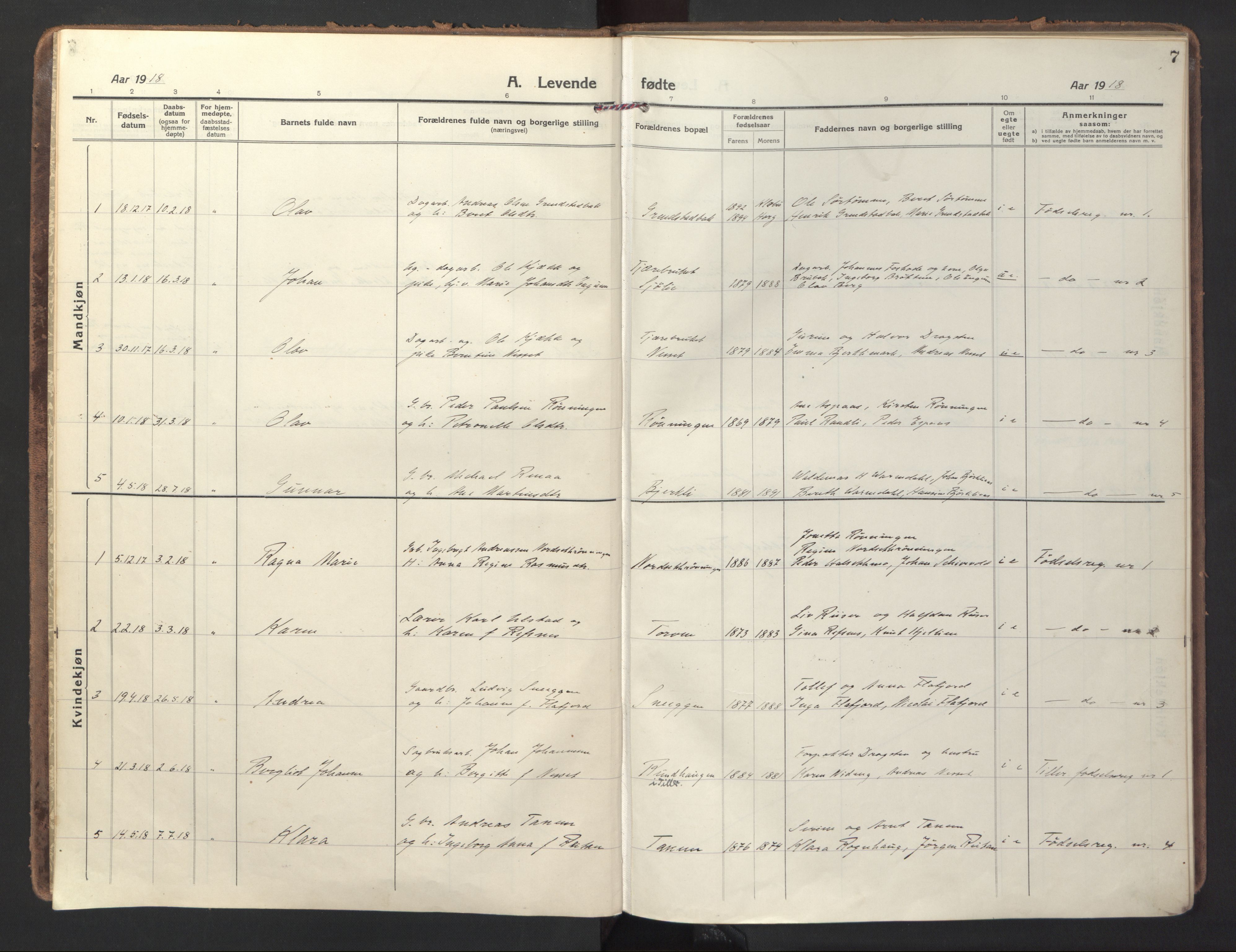 Ministerialprotokoller, klokkerbøker og fødselsregistre - Sør-Trøndelag, AV/SAT-A-1456/618/L0449: Parish register (official) no. 618A12, 1917-1924, p. 7