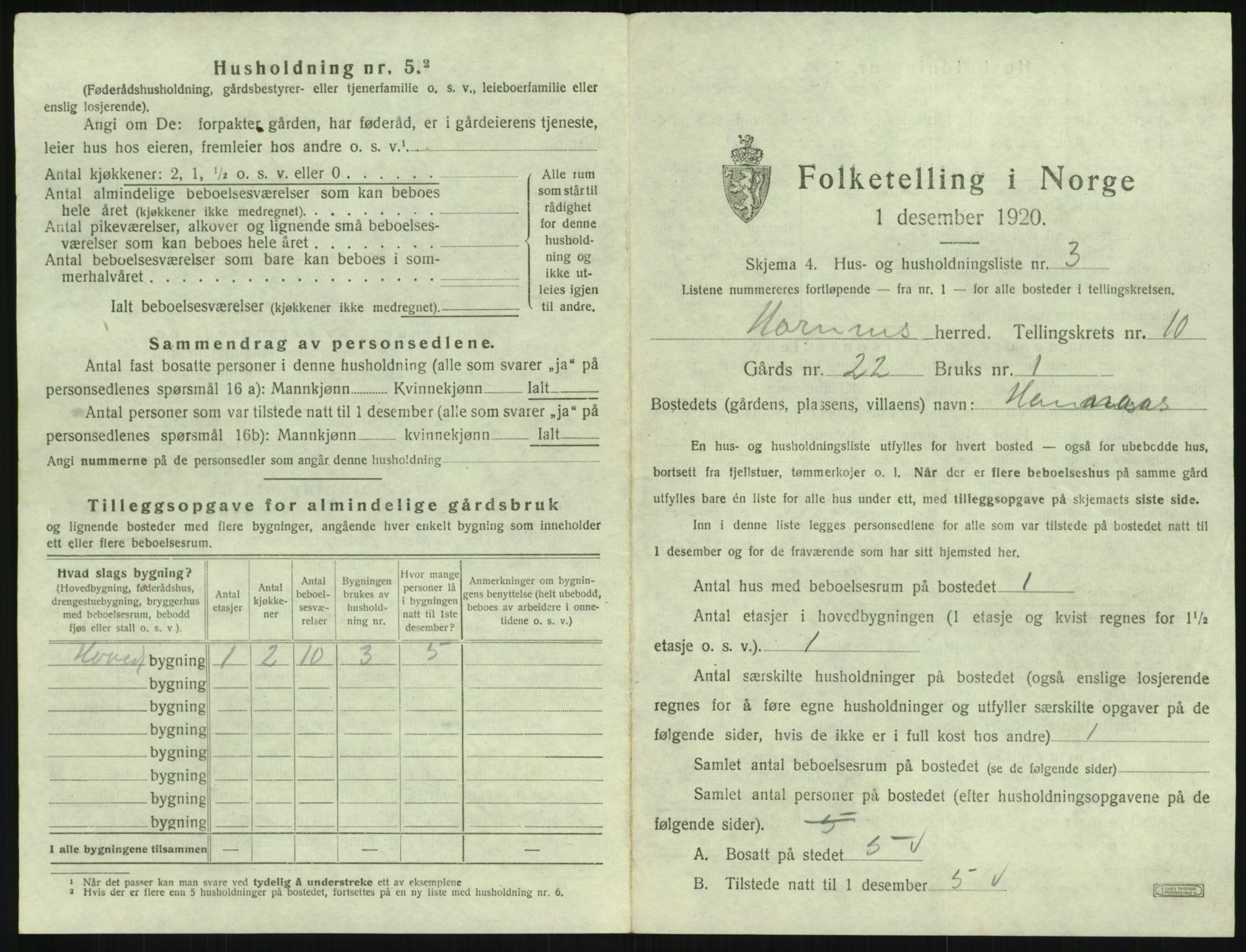 SAK, 1920 census for Hornnes, 1920, p. 411