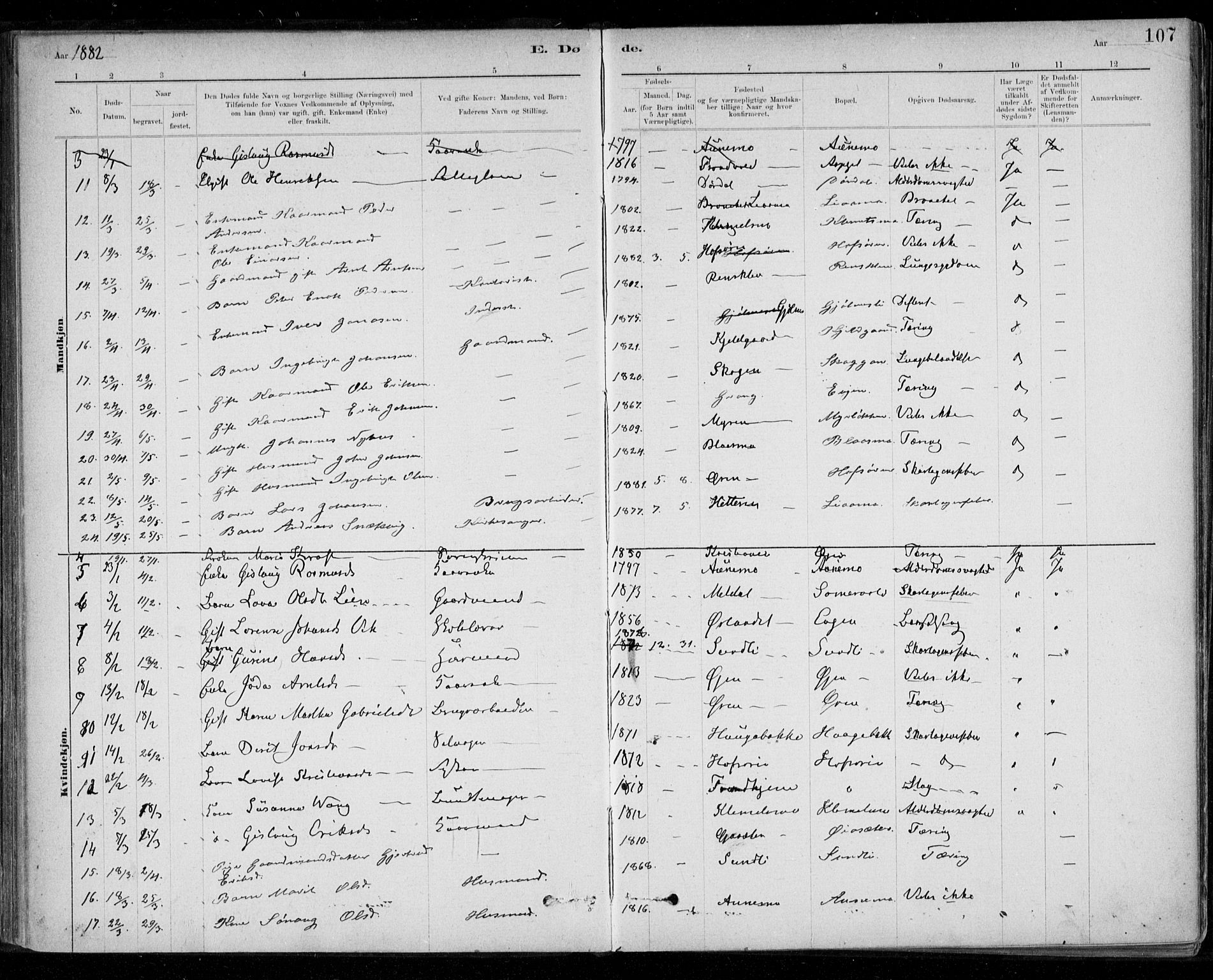 Ministerialprotokoller, klokkerbøker og fødselsregistre - Sør-Trøndelag, AV/SAT-A-1456/668/L0810: Parish register (official) no. 668A10, 1881-1894, p. 107