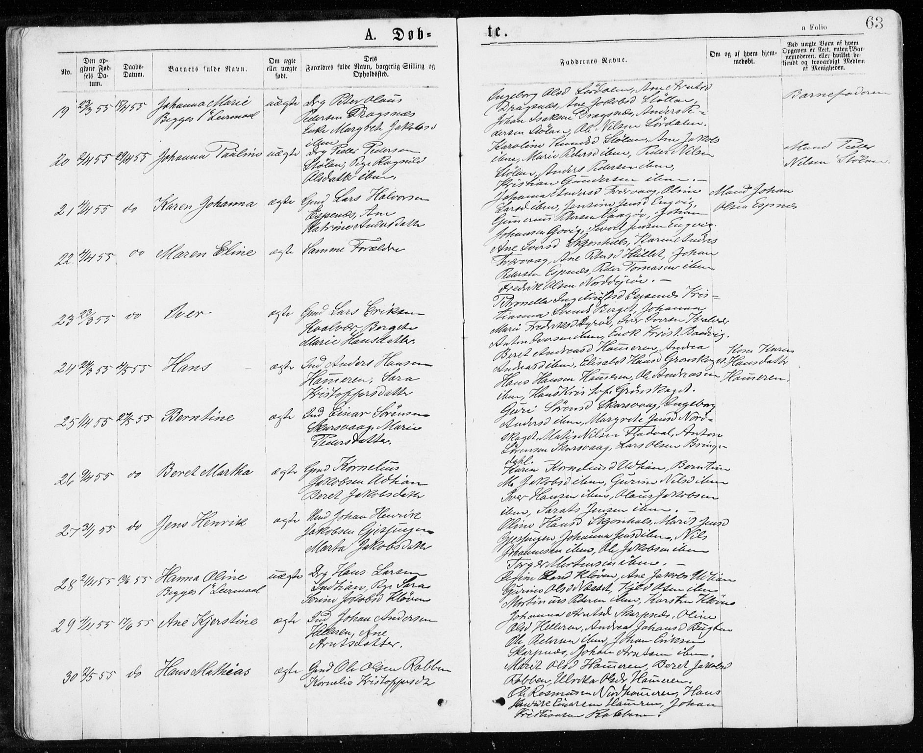 Ministerialprotokoller, klokkerbøker og fødselsregistre - Sør-Trøndelag, AV/SAT-A-1456/640/L0576: Parish register (official) no. 640A01, 1846-1876, p. 63