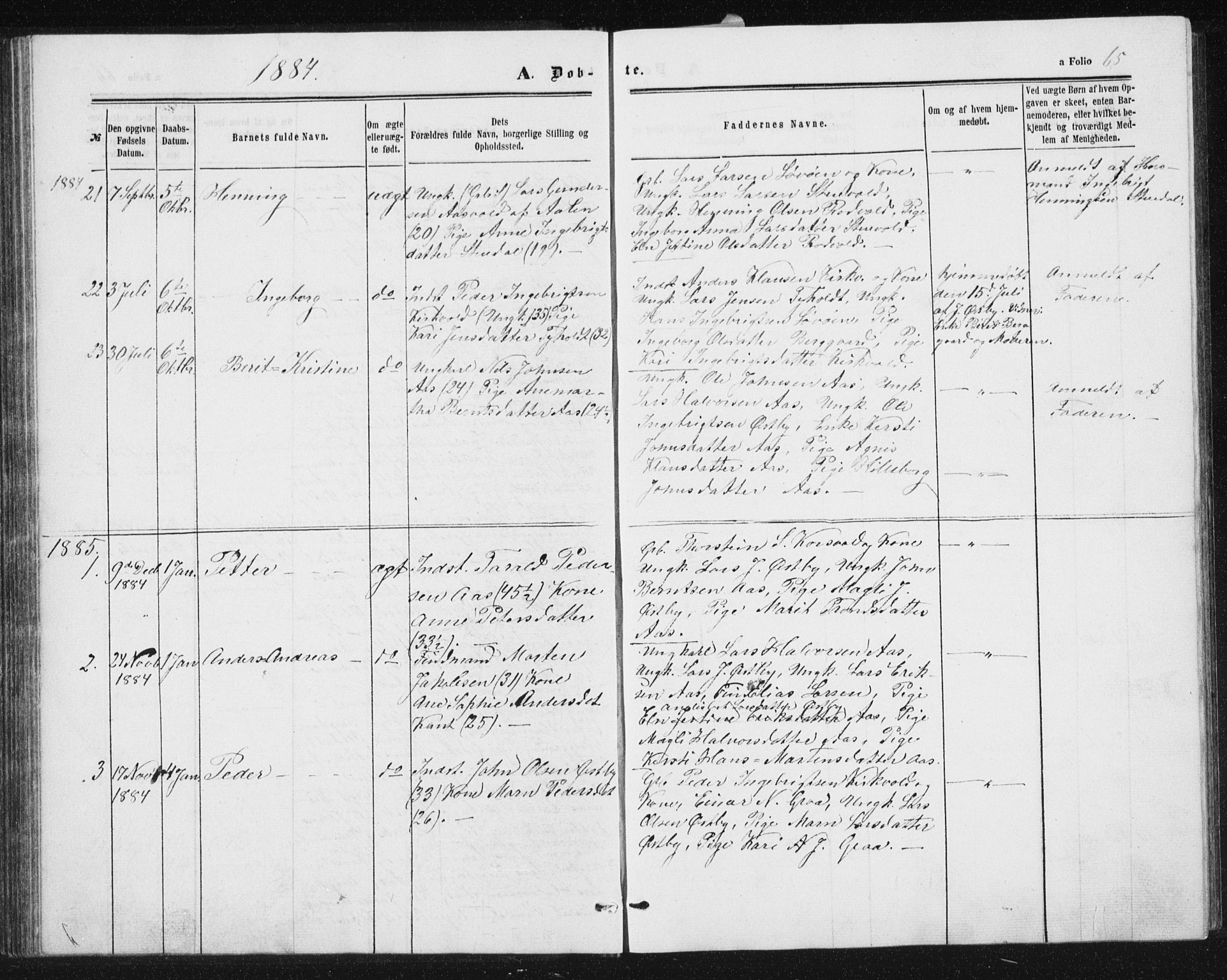 Ministerialprotokoller, klokkerbøker og fødselsregistre - Sør-Trøndelag, SAT/A-1456/698/L1166: Parish register (copy) no. 698C03, 1861-1887, p. 65
