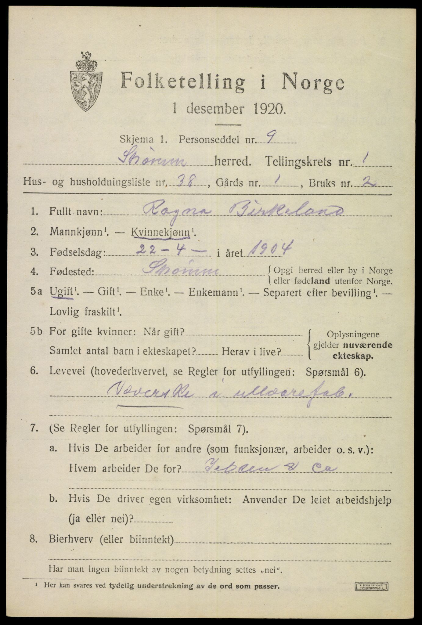 SAKO, 1920 census for Strømm, 1920, p. 1171