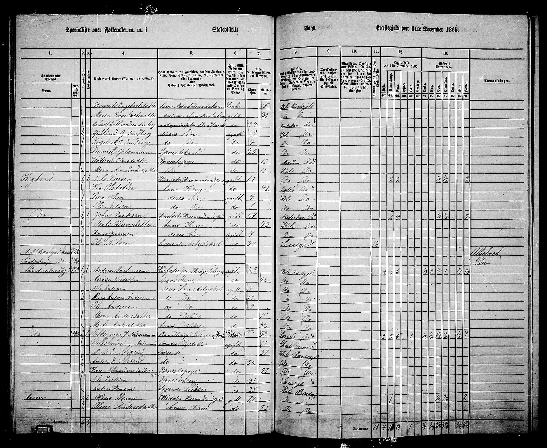 RA, 1865 census for Hole, 1865, p. 147