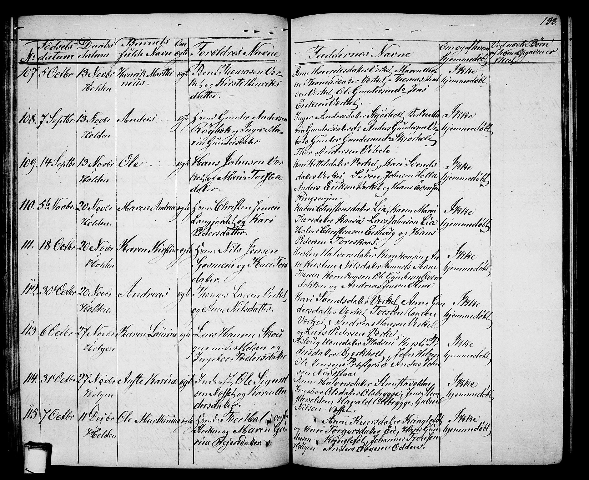 Holla kirkebøker, SAKO/A-272/G/Ga/L0003: Parish register (copy) no. I 3, 1849-1866, p. 133