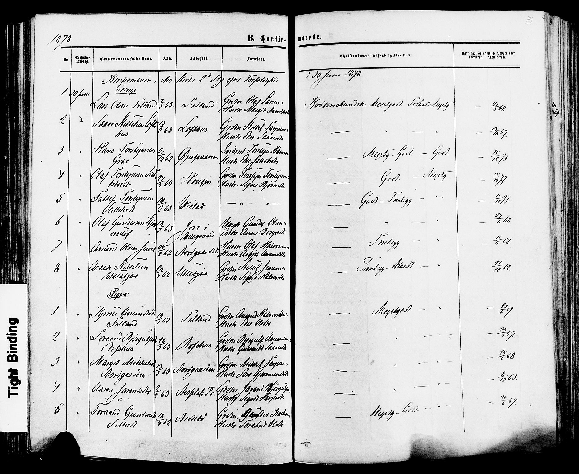 Mo kirkebøker, SAKO/A-286/F/Fa/L0006: Parish register (official) no. I 6, 1865-1885, p. 141