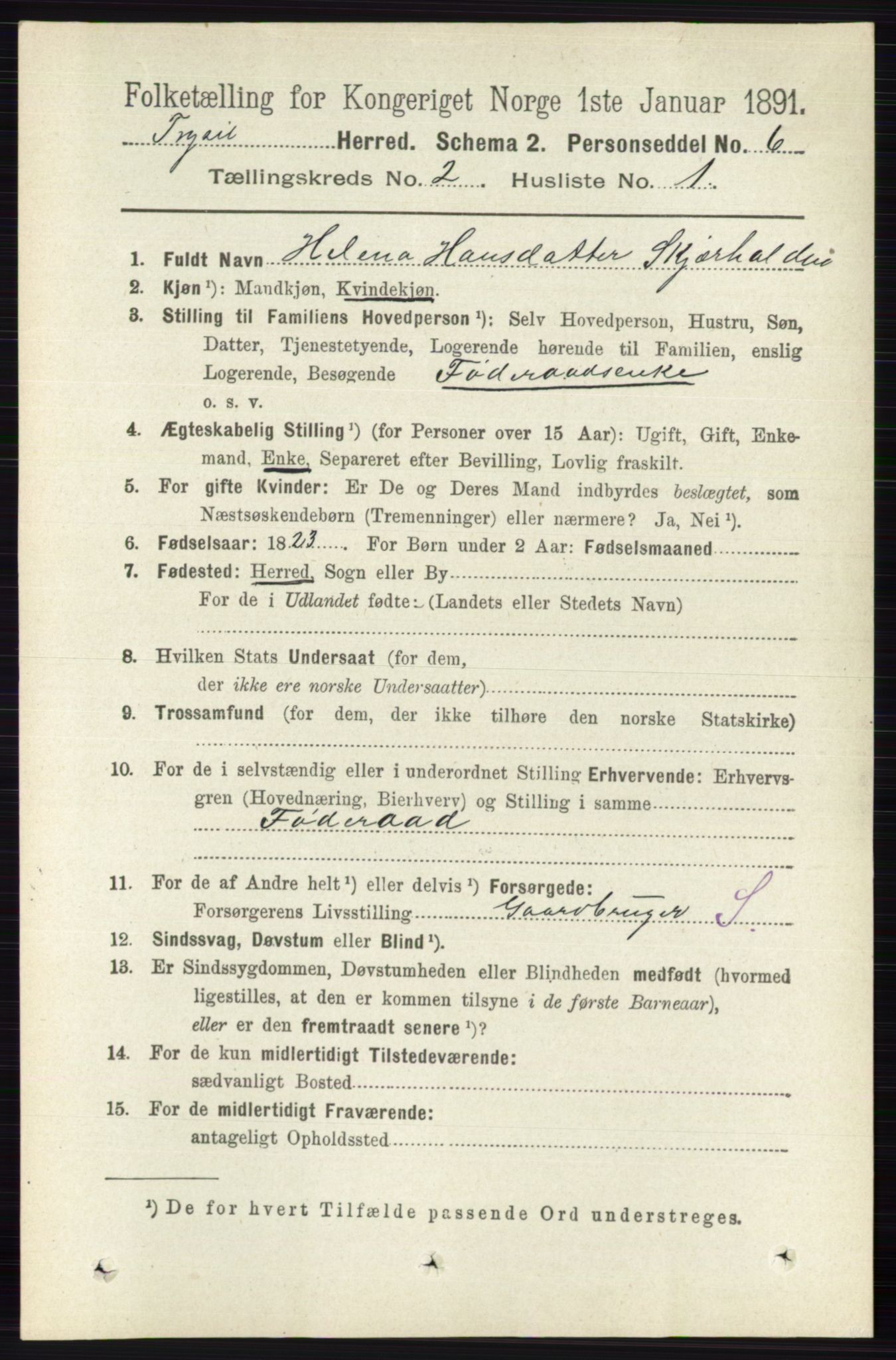 RA, 1891 census for 0428 Trysil, 1891, p. 729