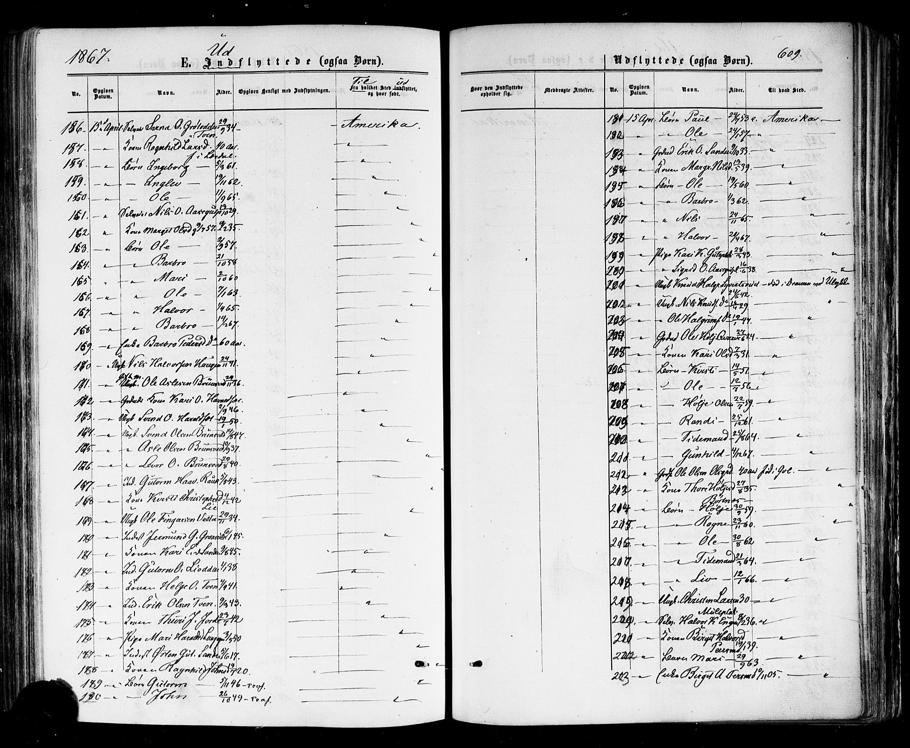 Nes kirkebøker, AV/SAKO-A-236/F/Fa/L0010: Parish register (official) no. 10, 1864-1880, p. 609