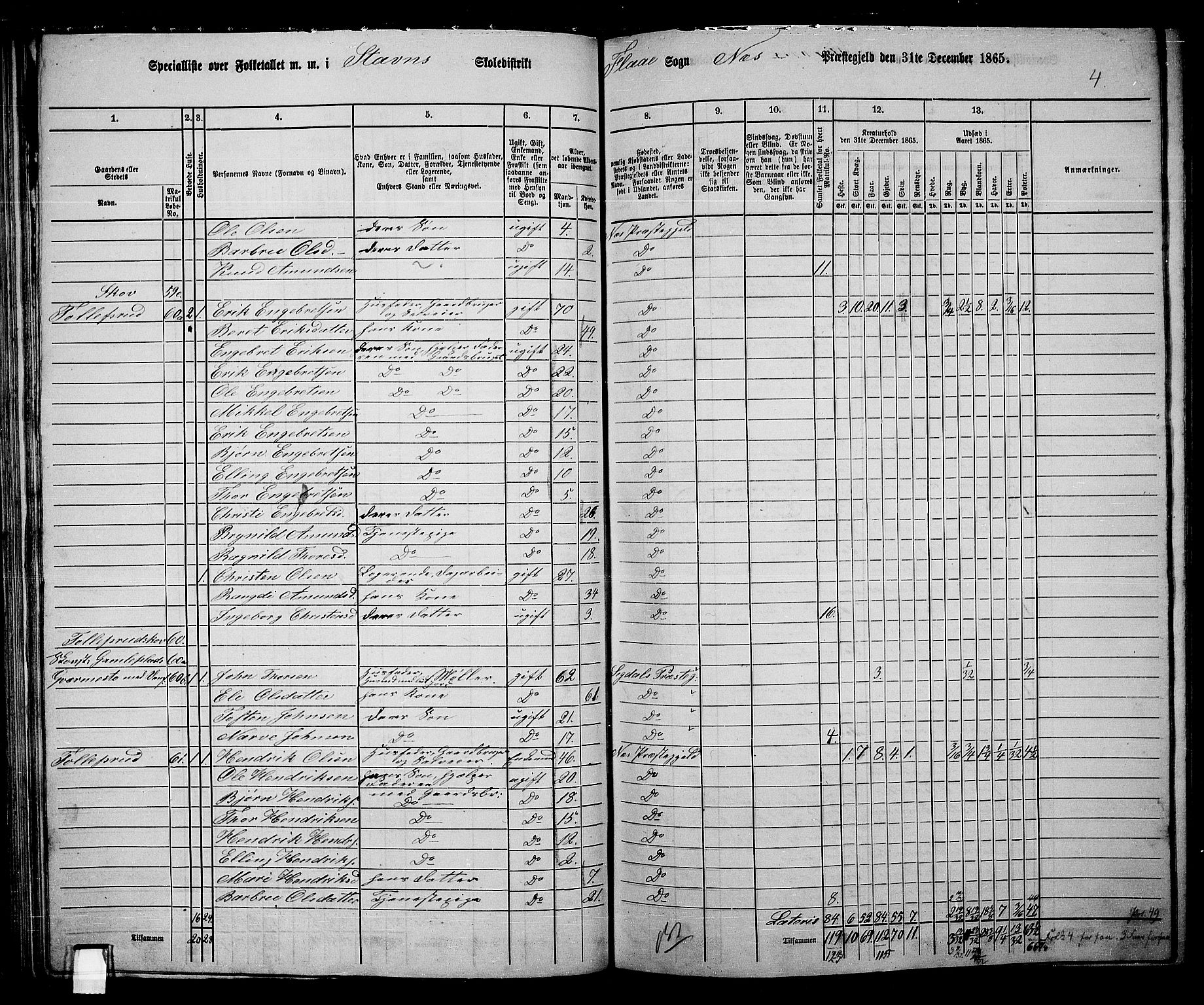 RA, 1865 census for Nes, 1865, p. 82