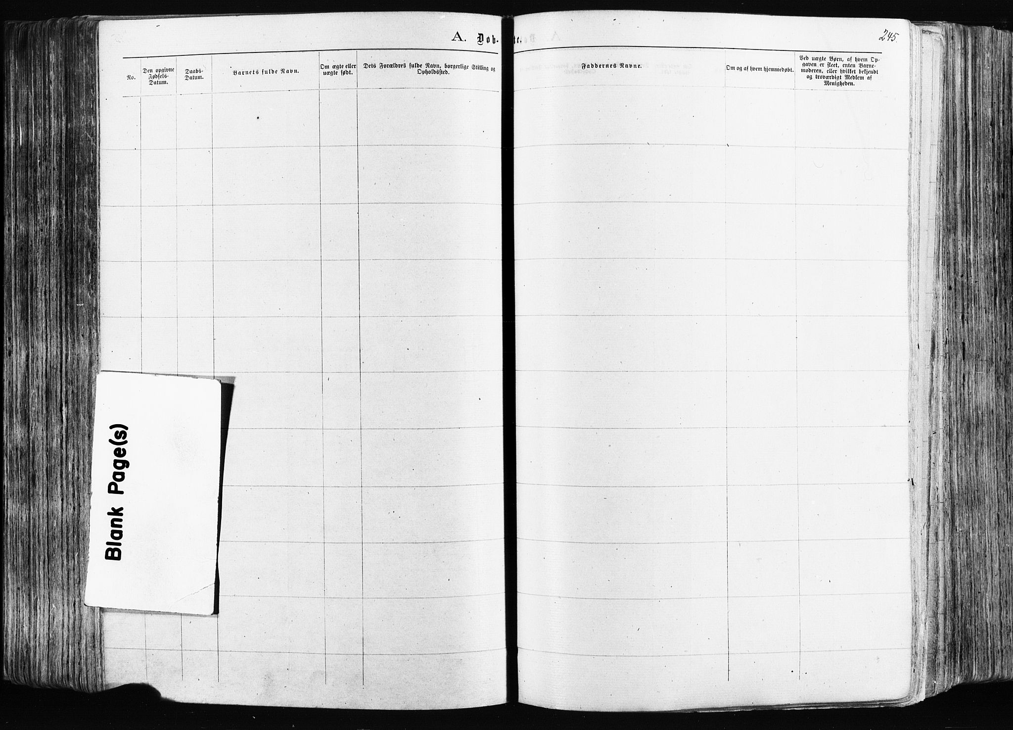 Østre Aker prestekontor Kirkebøker, AV/SAO-A-10840/F/Fa/L0003: Parish register (official) no. I 3, 1869-1875, p. 245