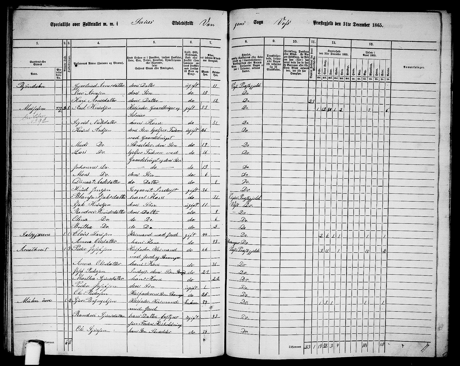 RA, 1865 census for Voss, 1865, p. 210