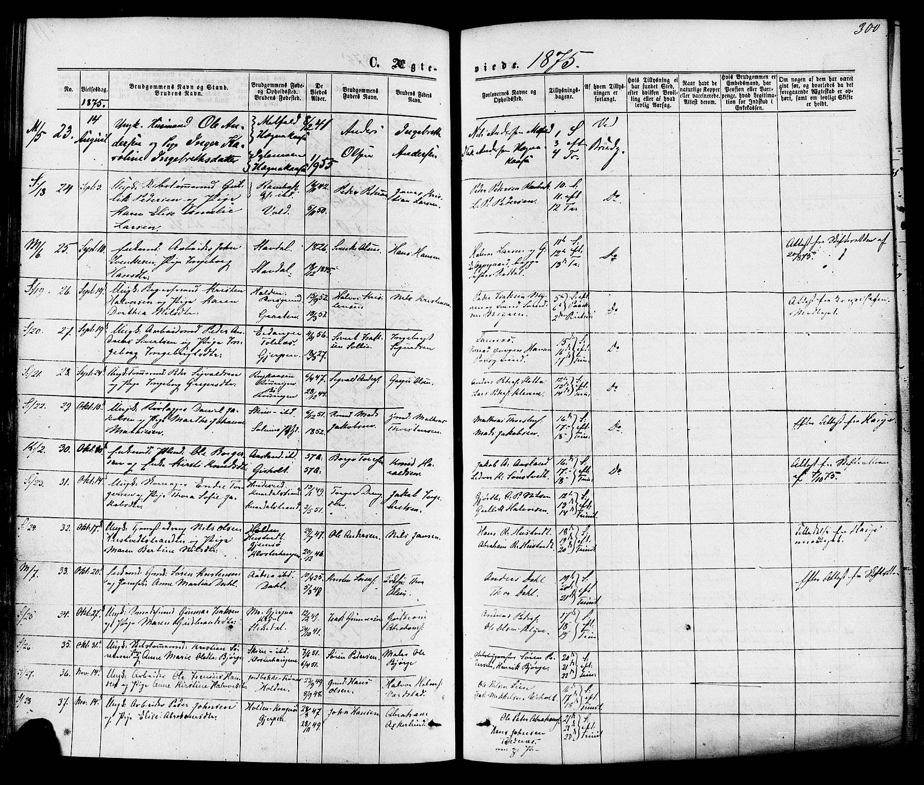 Solum kirkebøker, SAKO/A-306/F/Fa/L0008: Parish register (official) no. I 8, 1865-1876, p. 300