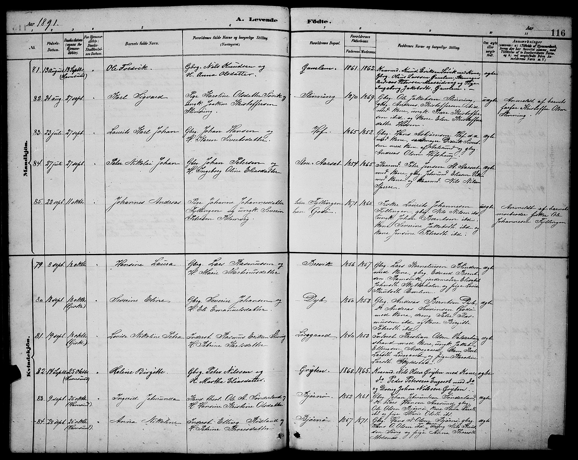 Ministerialprotokoller, klokkerbøker og fødselsregistre - Møre og Romsdal, AV/SAT-A-1454/528/L0431: Parish register (copy) no. 528C12, 1885-1898, p. 116