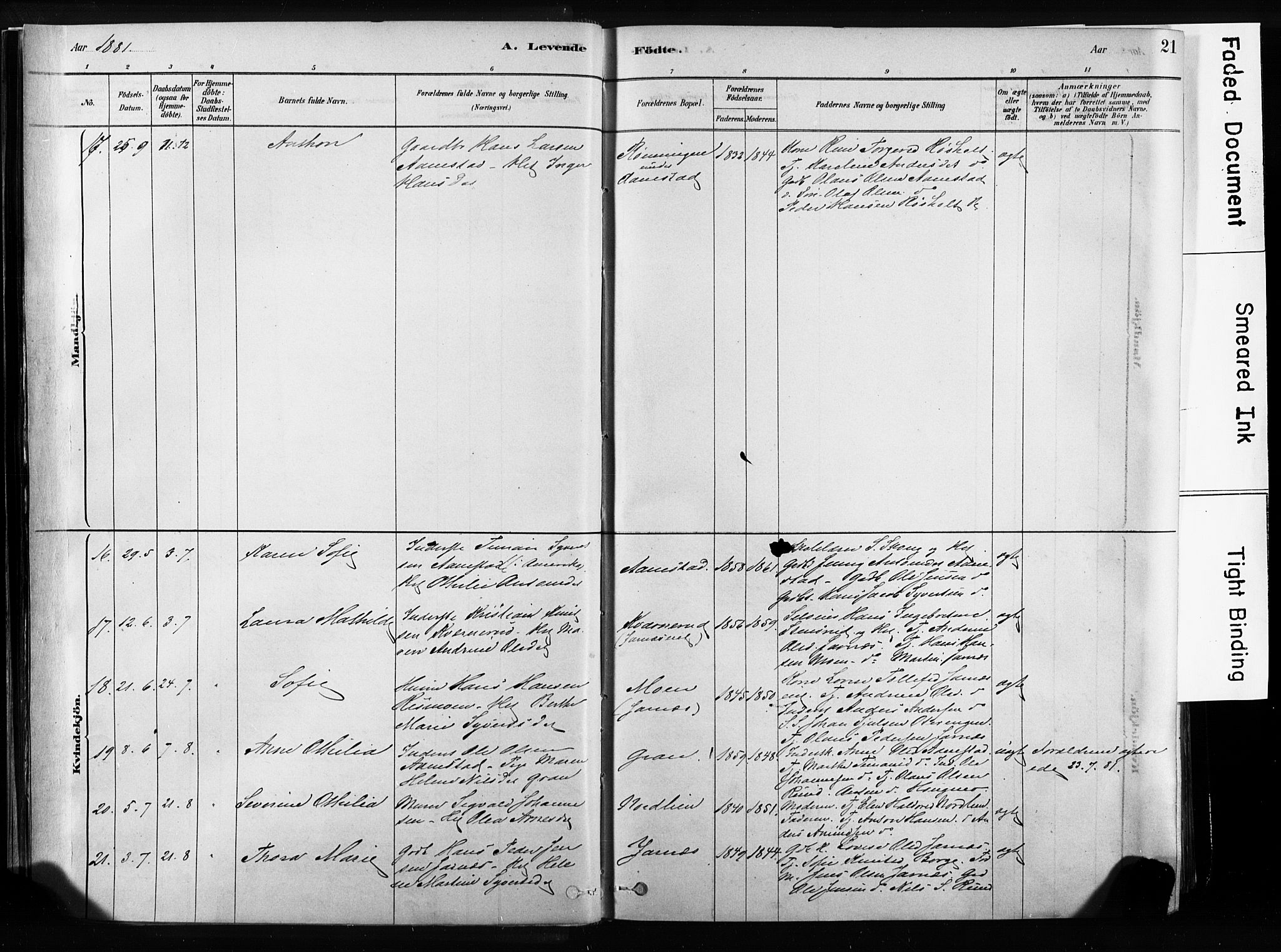 Sandsvær kirkebøker, AV/SAKO-A-244/F/Fb/L0001: Parish register (official) no. II 1, 1878-1906, p. 21