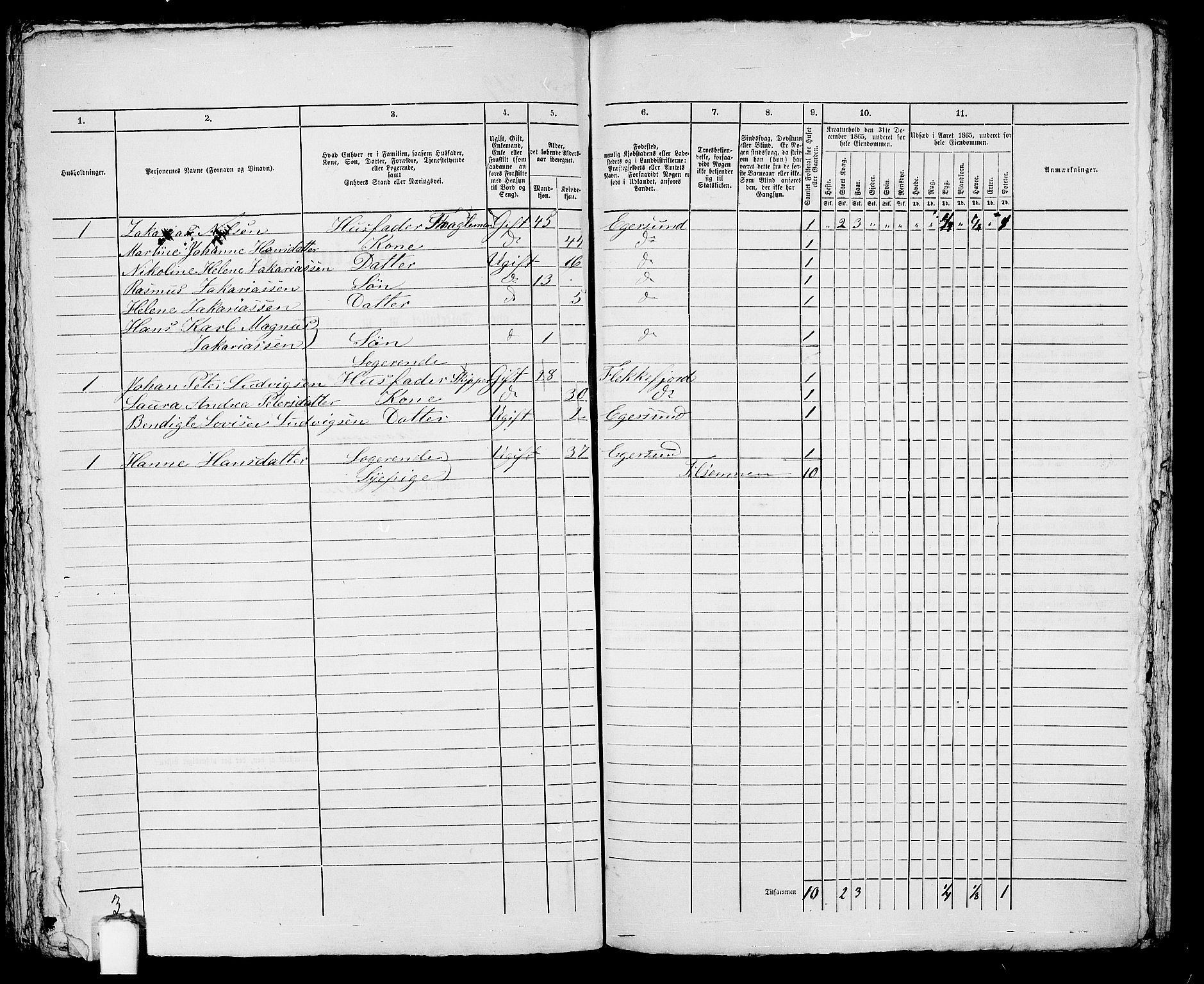 RA, 1865 census for Eigersund parish, Egersund town, 1865, p. 452