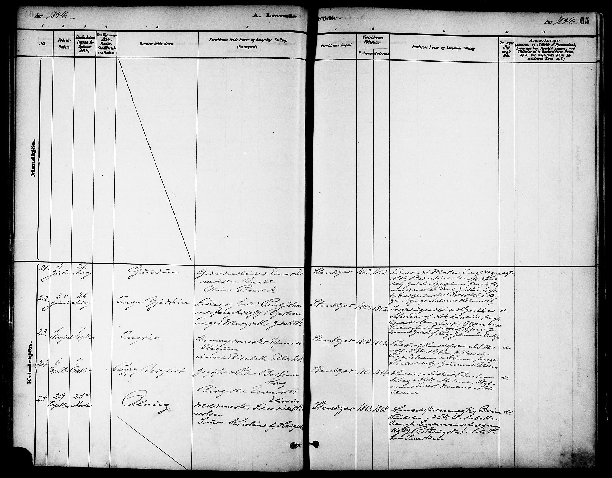 Ministerialprotokoller, klokkerbøker og fødselsregistre - Nord-Trøndelag, AV/SAT-A-1458/739/L0371: Parish register (official) no. 739A03, 1881-1895, p. 65