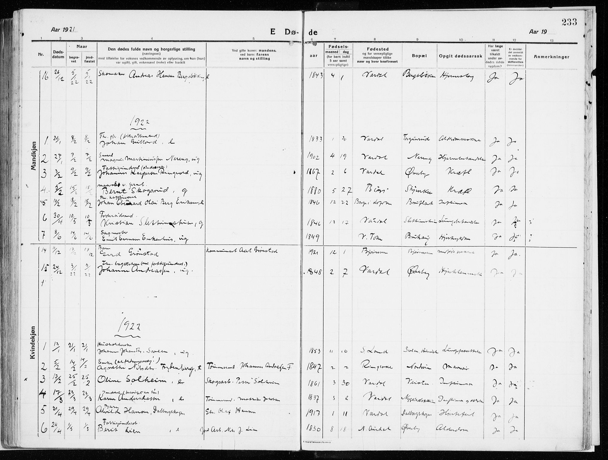 Vardal prestekontor, SAH/PREST-100/H/Ha/Haa/L0017: Parish register (official) no. 17, 1915-1929, p. 233