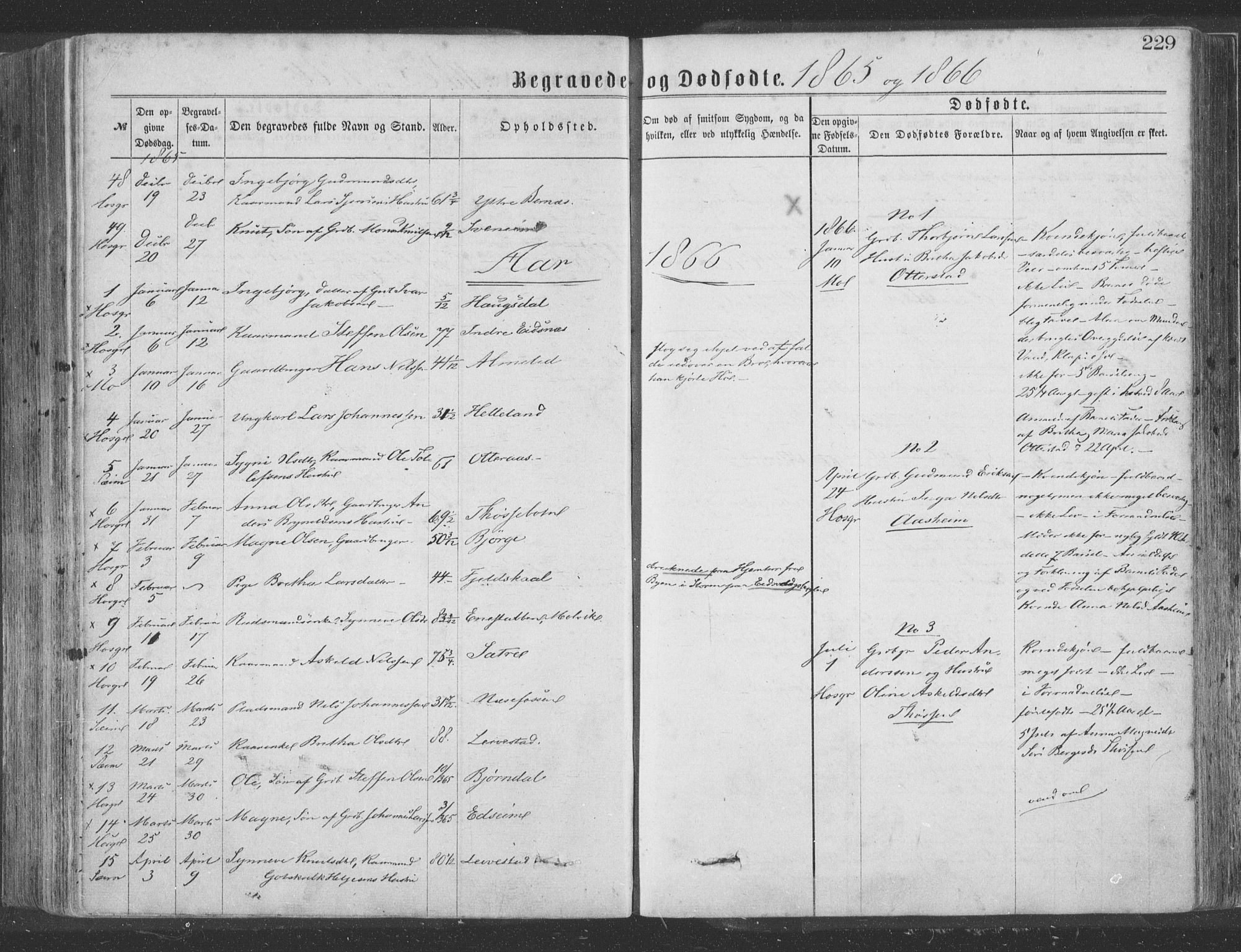 Hosanger sokneprestembete, SAB/A-75801/H/Haa: Parish register (official) no. A 9, 1864-1876, p. 229