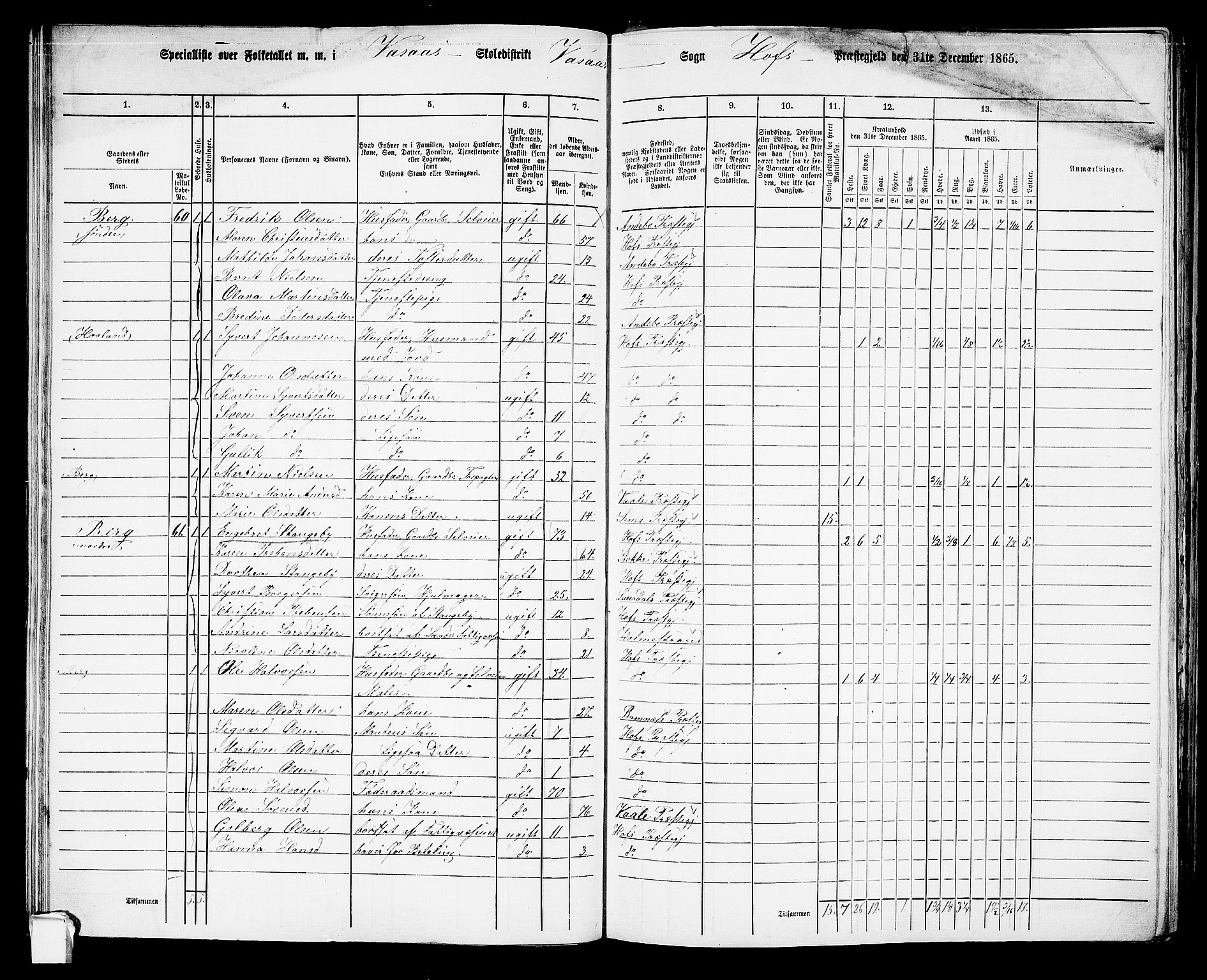 RA, 1865 census for Hof, 1865, p. 70