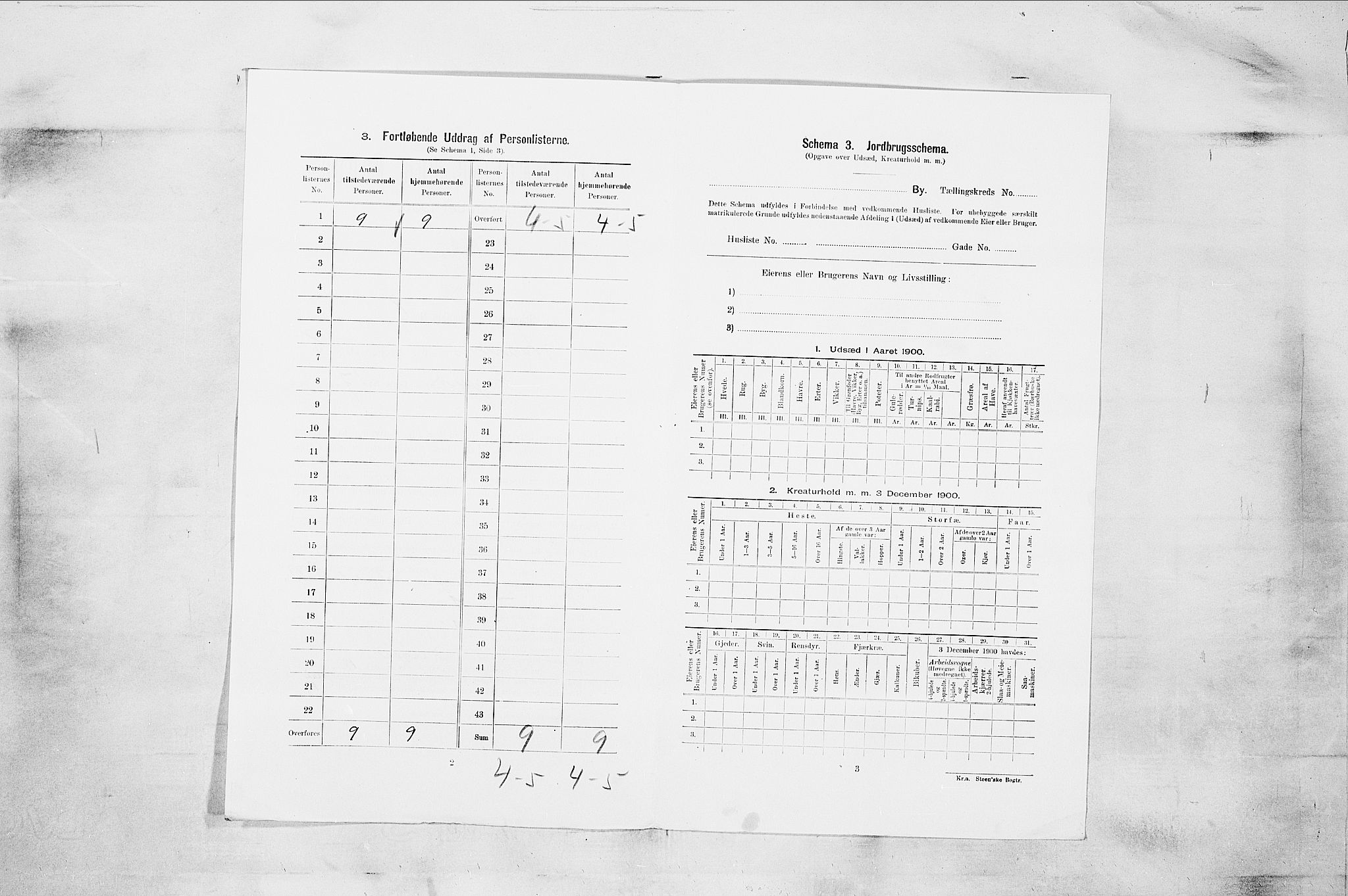 RA, 1900 census for Larvik, 1900, p. 736