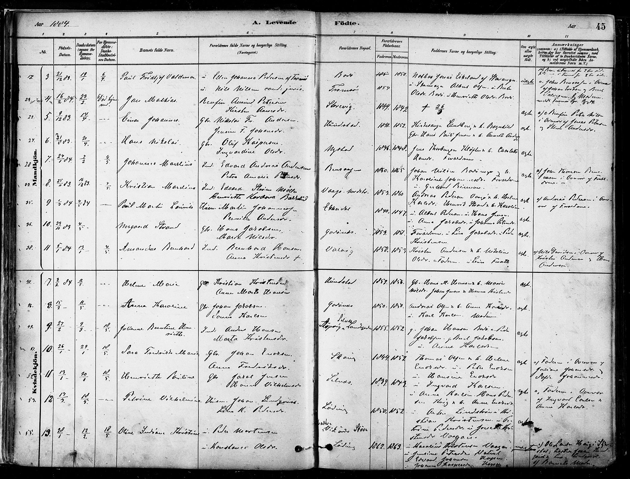 Ministerialprotokoller, klokkerbøker og fødselsregistre - Nordland, SAT/A-1459/802/L0054: Parish register (official) no. 802A01, 1879-1893, p. 45
