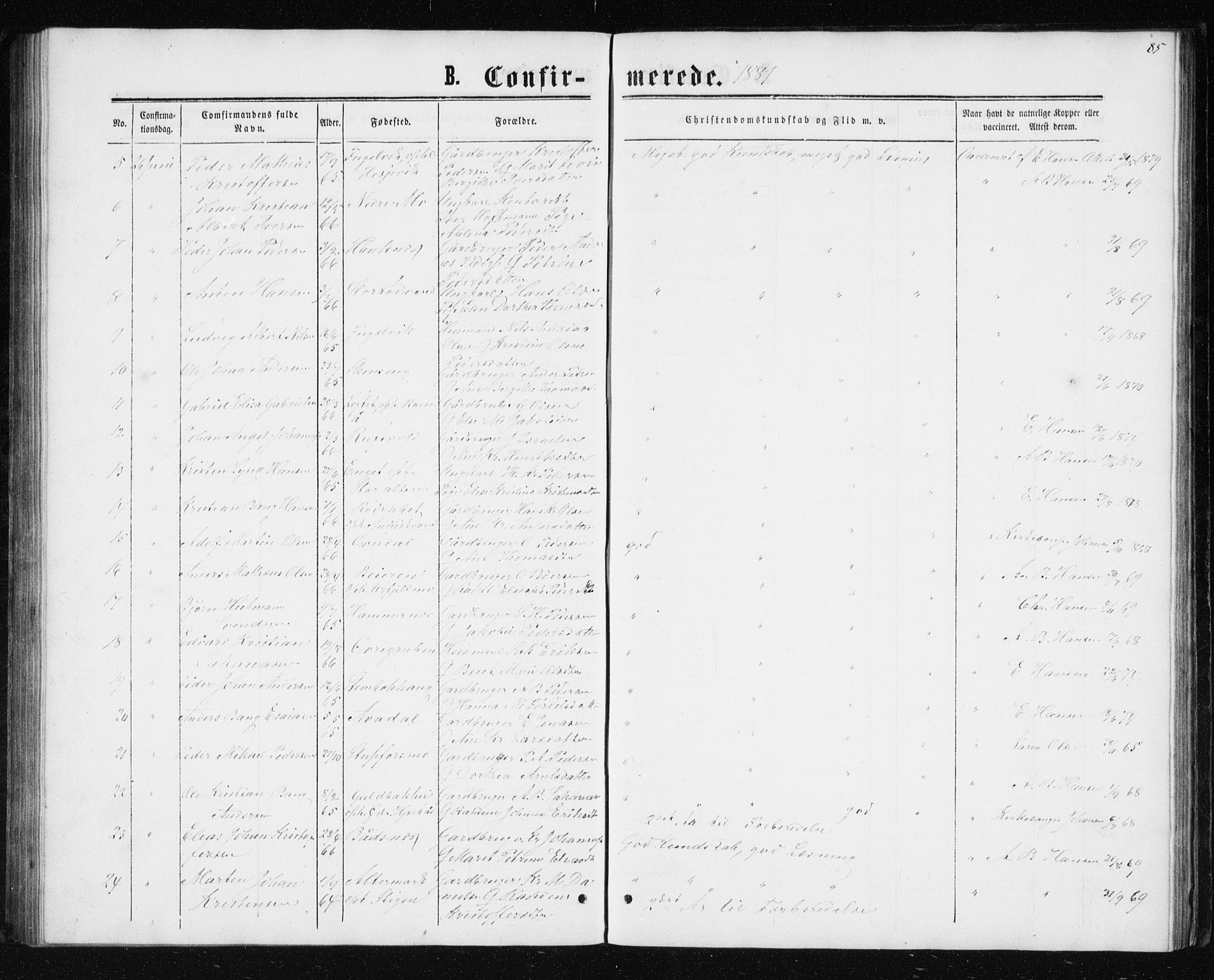 Ministerialprotokoller, klokkerbøker og fødselsregistre - Nordland, AV/SAT-A-1459/827/L0416: Parish register (copy) no. 827C05, 1865-1886, p. 85