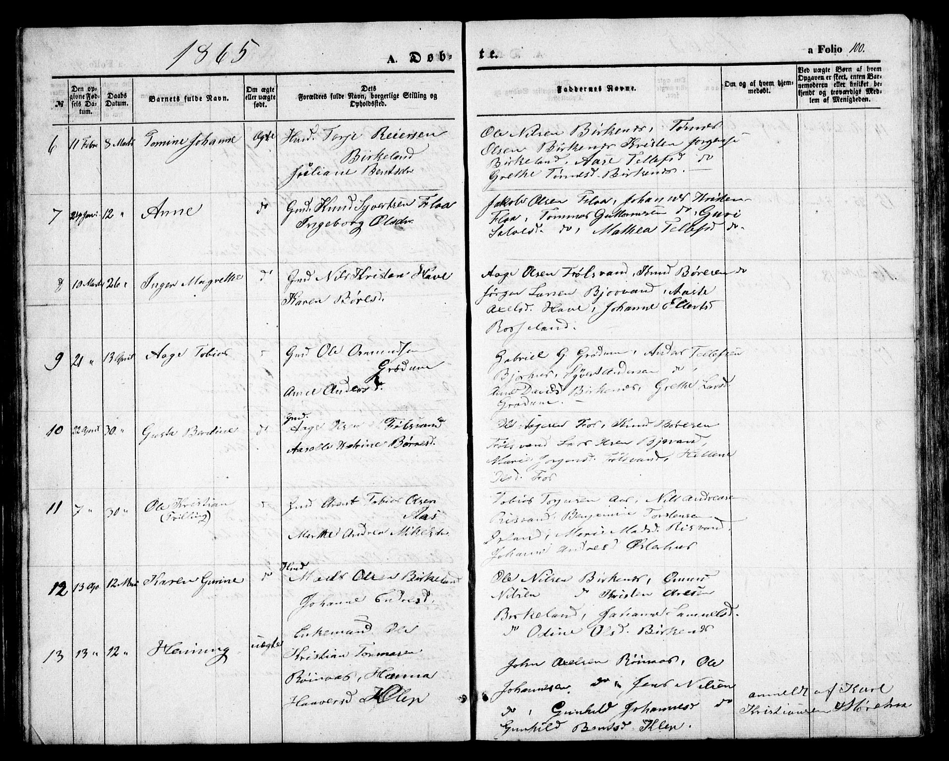 Birkenes sokneprestkontor, AV/SAK-1111-0004/F/Fb/L0002: Parish register (copy) no. B 2, 1849-1876, p. 100