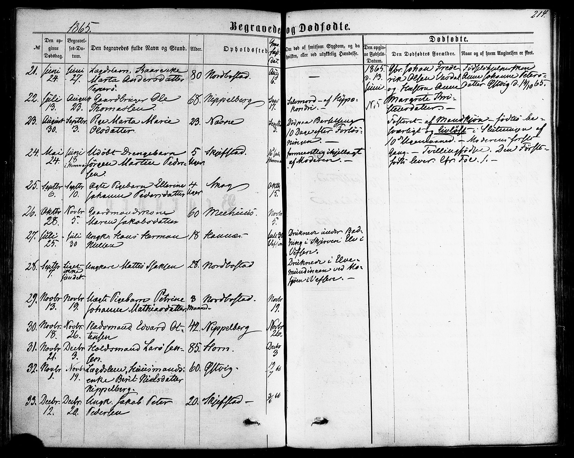 Ministerialprotokoller, klokkerbøker og fødselsregistre - Nordland, SAT/A-1459/838/L0551: Parish register (official) no. 838A09, 1864-1880, p. 214