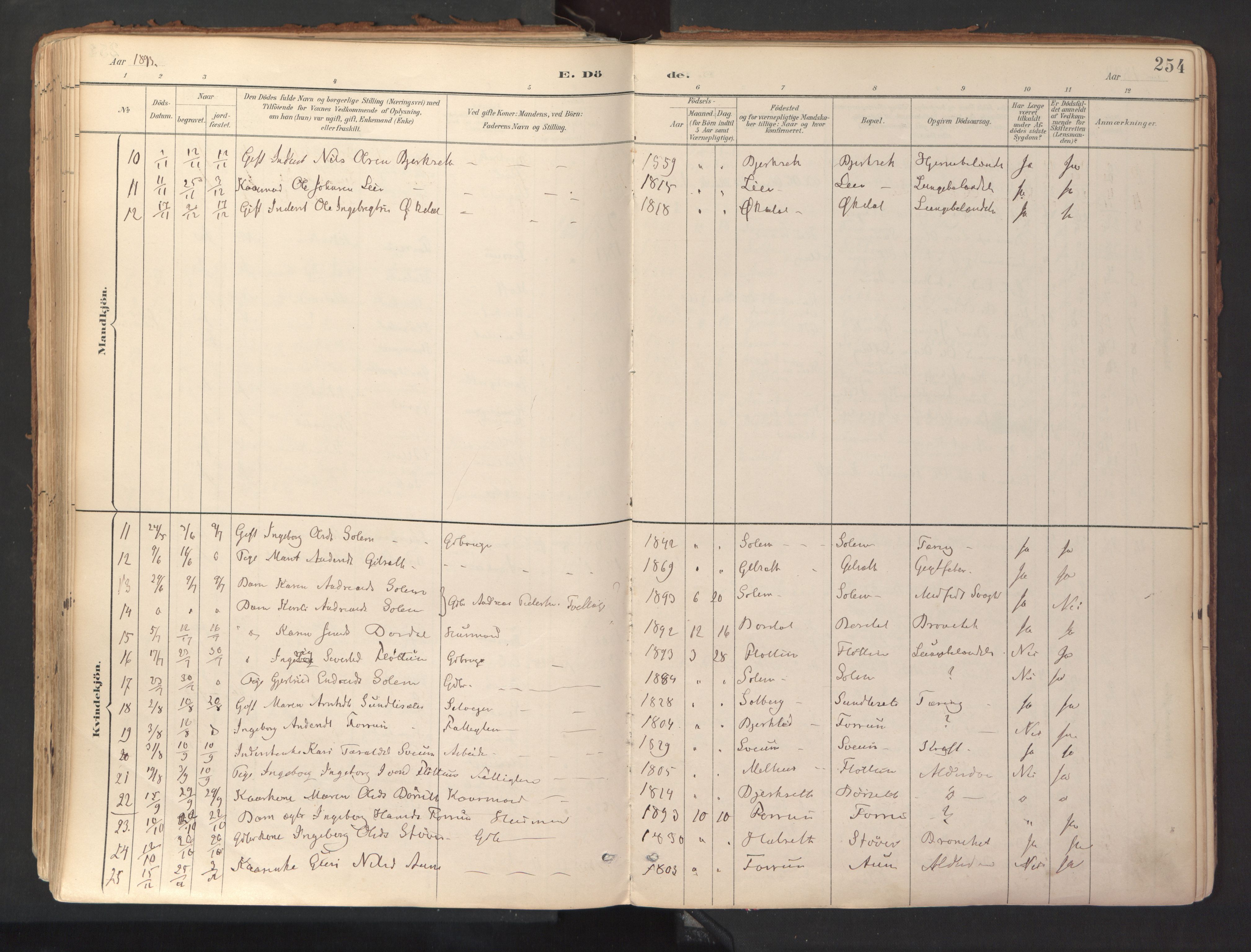 Ministerialprotokoller, klokkerbøker og fødselsregistre - Sør-Trøndelag, AV/SAT-A-1456/689/L1041: Parish register (official) no. 689A06, 1891-1923, p. 254