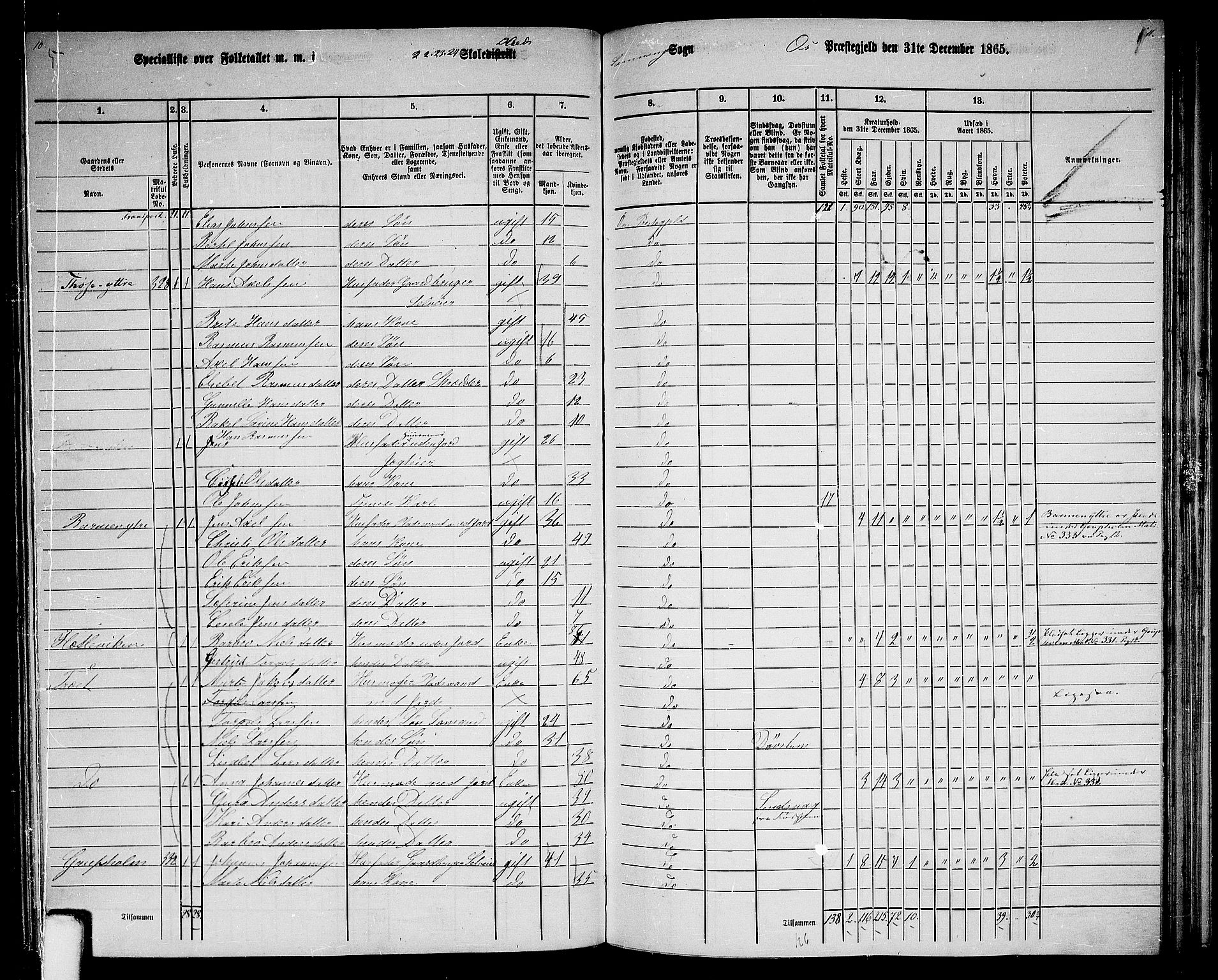 RA, 1865 census for Os, 1865, p. 142