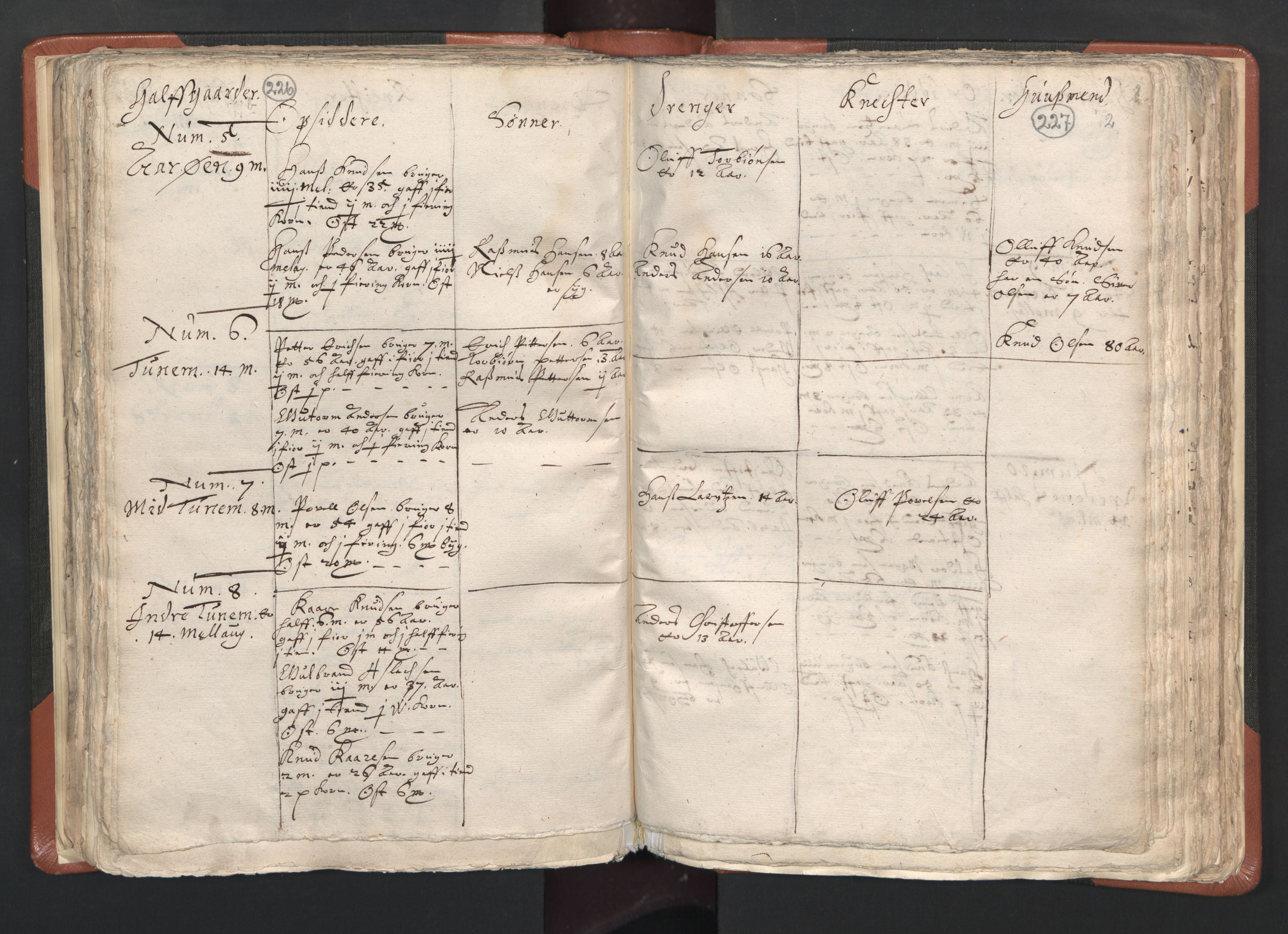 RA, Vicar's Census 1664-1666, no. 26: Sunnmøre deanery, 1664-1666, p. 226-227