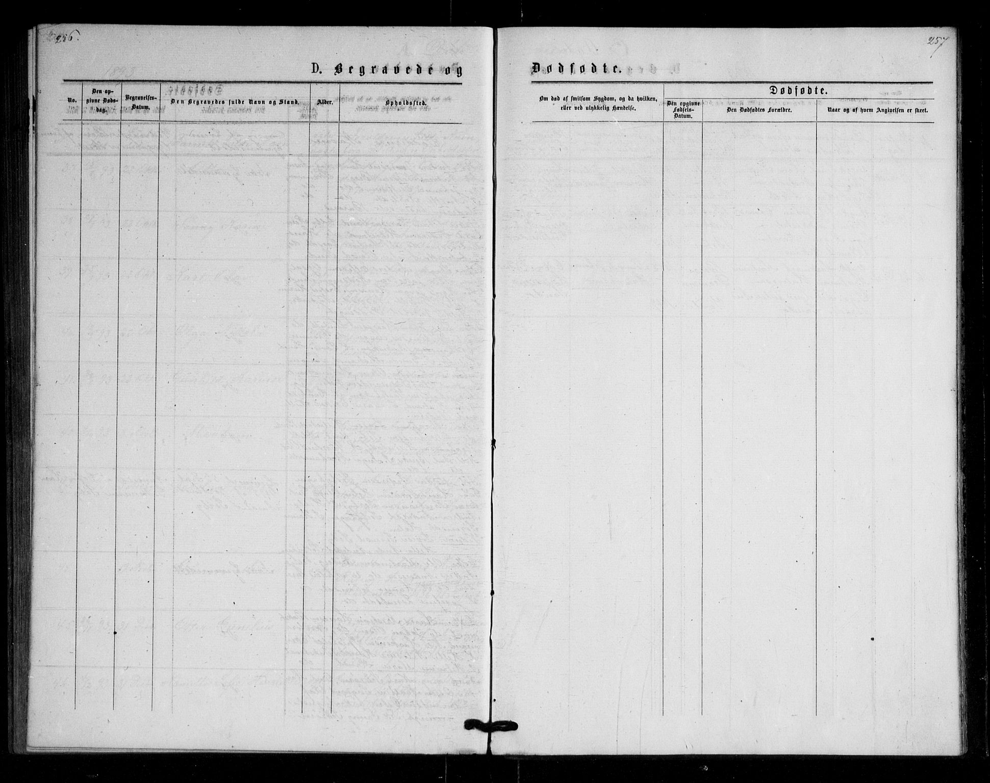 Våle kirkebøker, AV/SAKO-A-334/G/Ga/L0004a: Parish register (copy) no. I 4, 1874-1893, p. 256-257