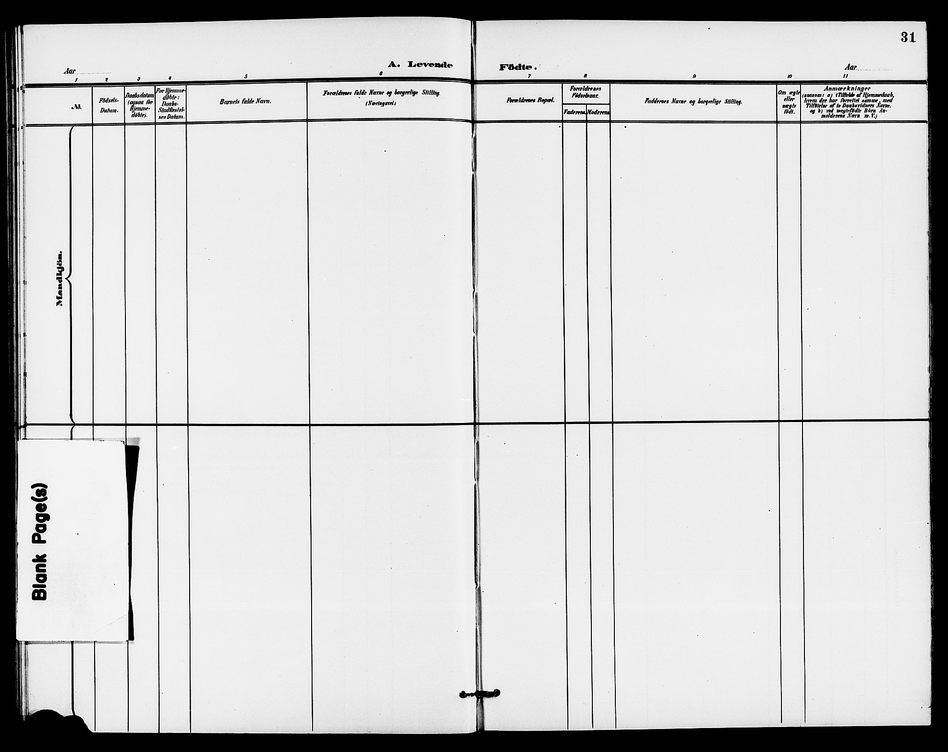 Holla kirkebøker, SAKO/A-272/G/Gb/L0002: Parish register (copy) no. II 2, 1897-1913, p. 31