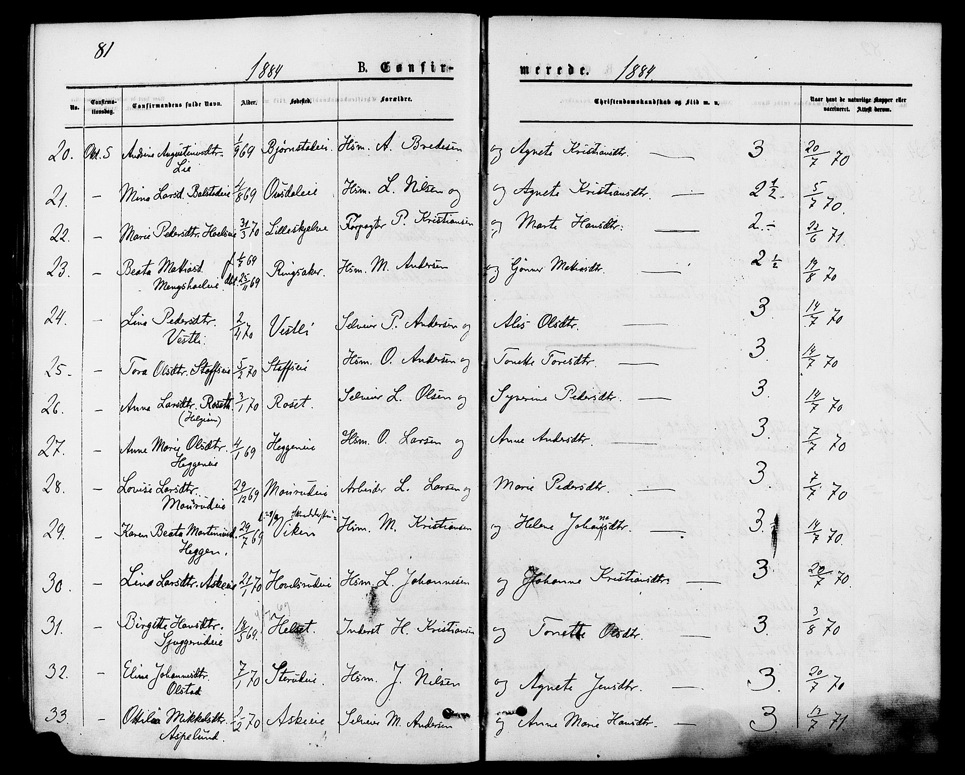 Nes prestekontor, Hedmark, AV/SAH-PREST-020/K/Ka/L0006: Parish register (official) no. 6, 1873-1886, p. 81