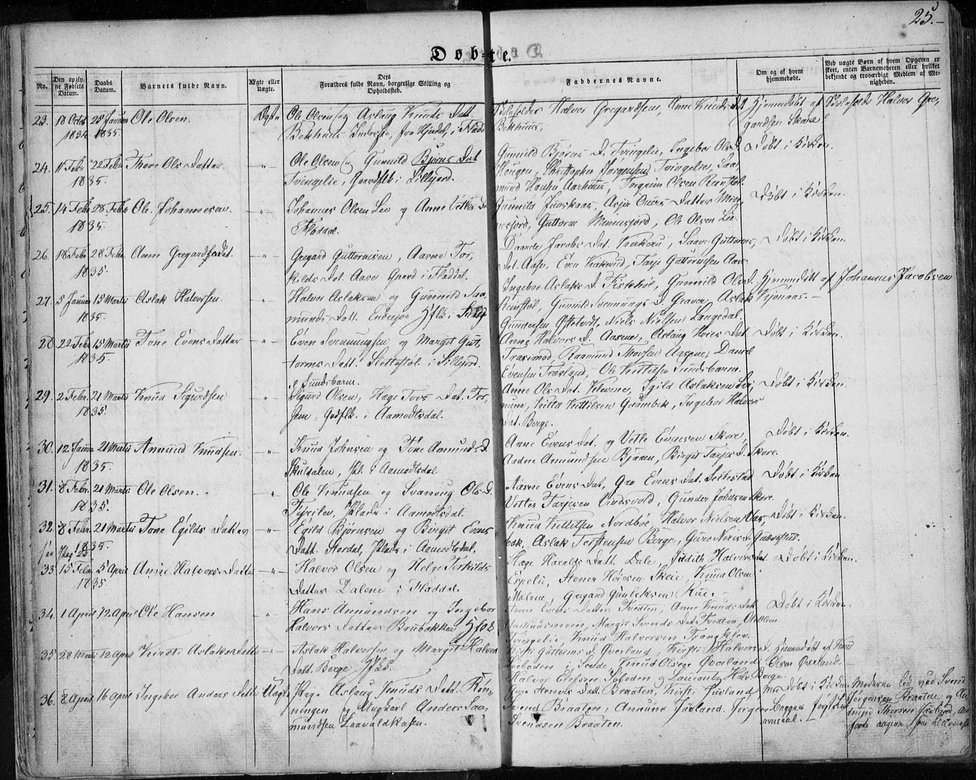 Seljord kirkebøker, AV/SAKO-A-20/F/Fa/L0011: Parish register (official) no. I 11, 1831-1849, p. 25