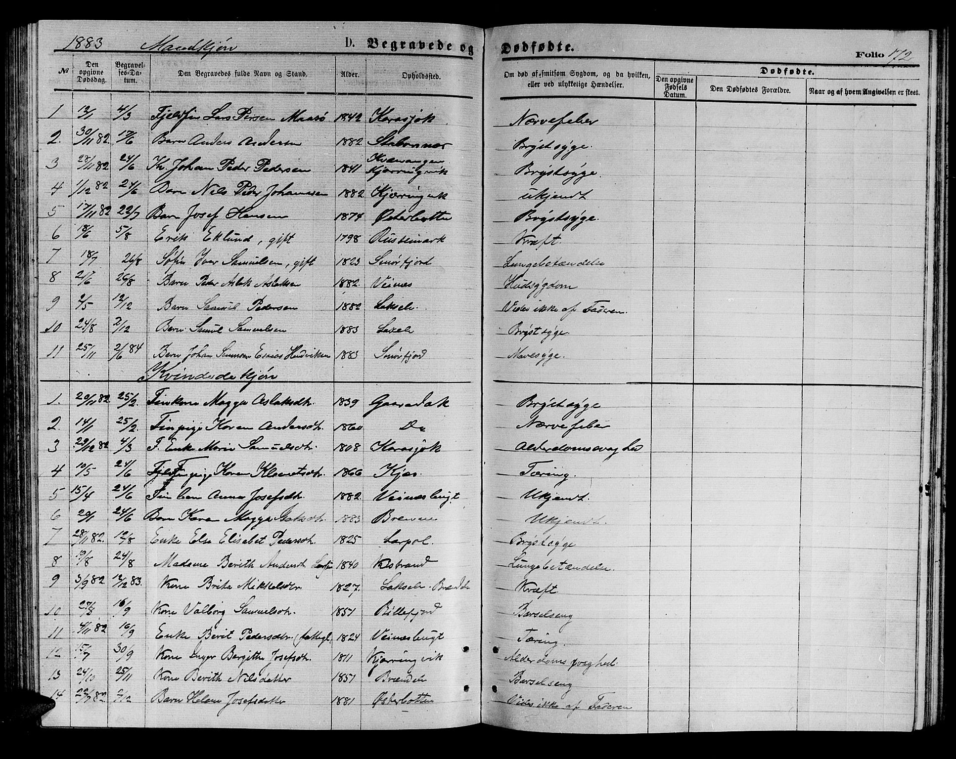 Kistrand/Porsanger sokneprestembete, SATØ/S-1351/H/Hb/L0003.klokk: Parish register (copy) no. 3, 1874-1885, p. 172