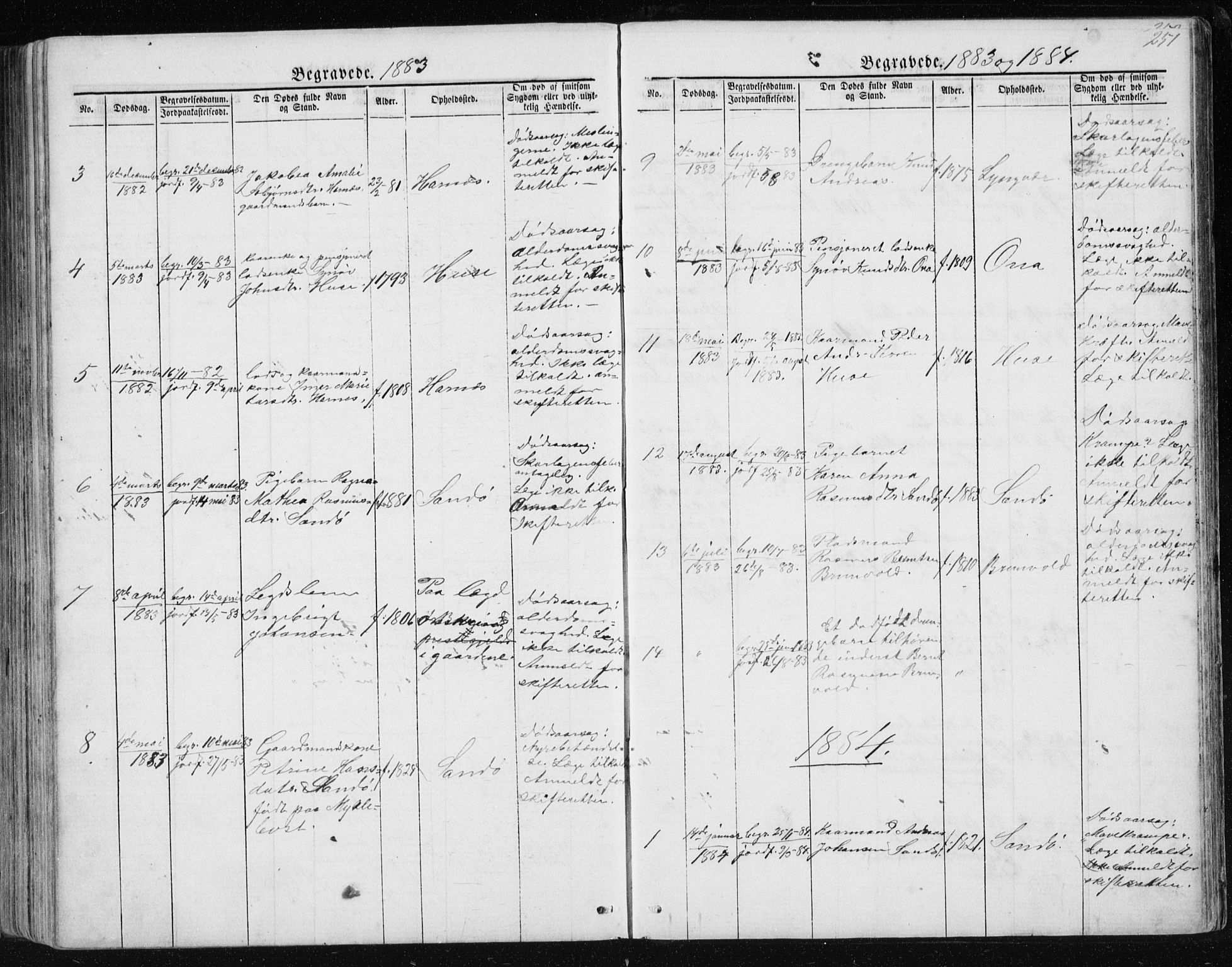 Ministerialprotokoller, klokkerbøker og fødselsregistre - Møre og Romsdal, AV/SAT-A-1454/561/L0732: Parish register (copy) no. 561C02, 1867-1900, p. 251