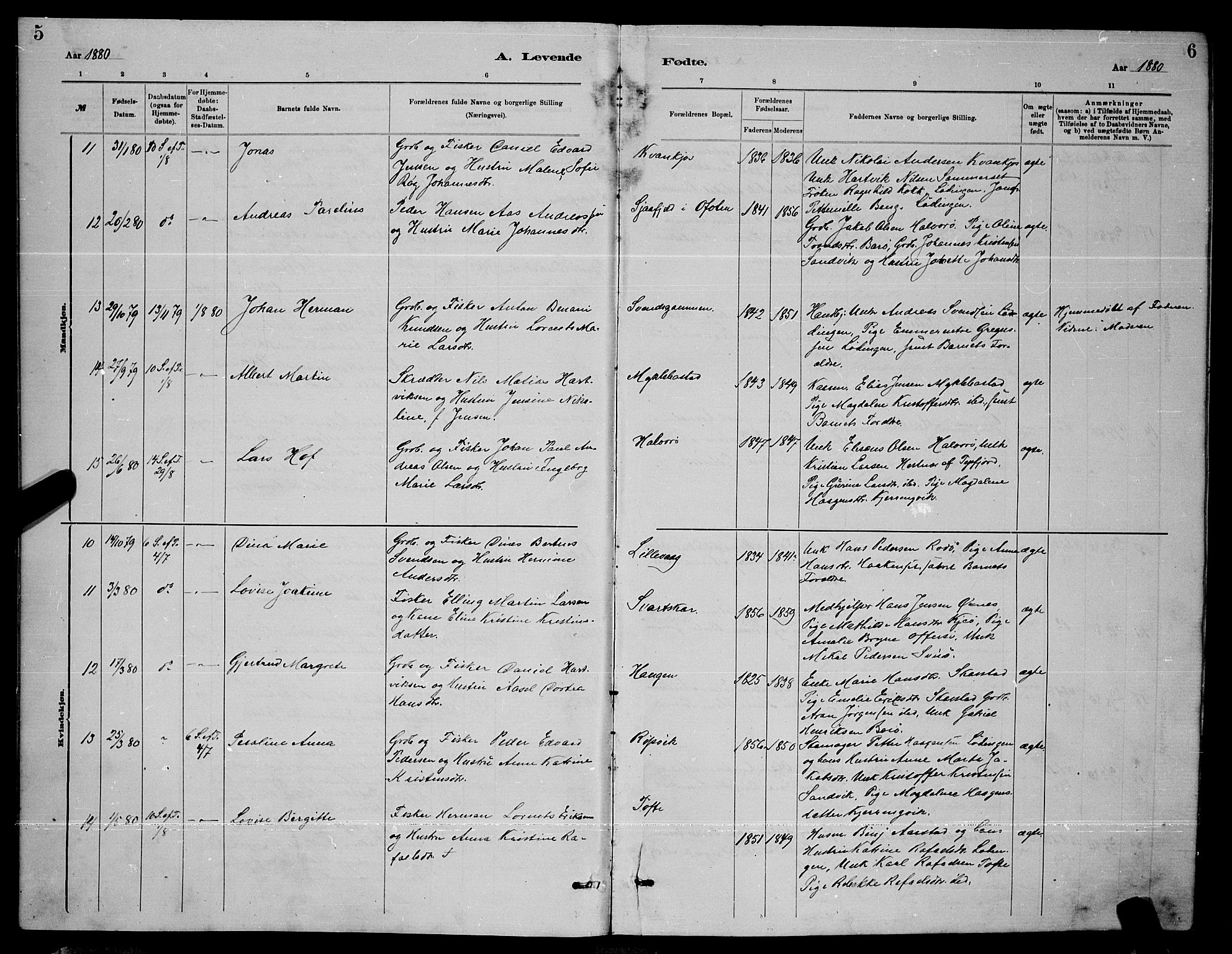 Ministerialprotokoller, klokkerbøker og fødselsregistre - Nordland, AV/SAT-A-1459/872/L1047: Parish register (copy) no. 872C03, 1880-1897, p. 5-6