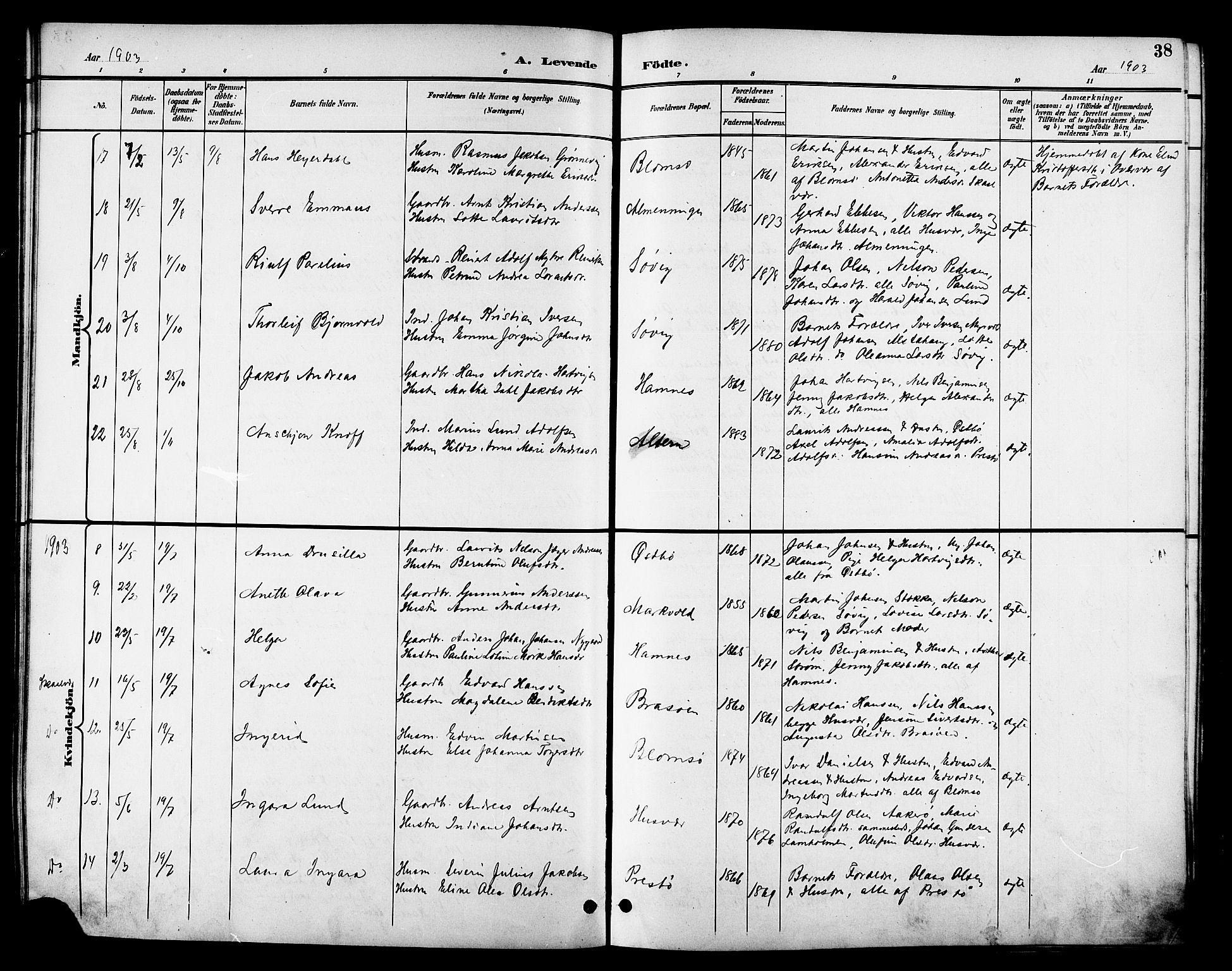 Ministerialprotokoller, klokkerbøker og fødselsregistre - Nordland, AV/SAT-A-1459/830/L0463: Parish register (copy) no. 830C05, 1895-1906, p. 38