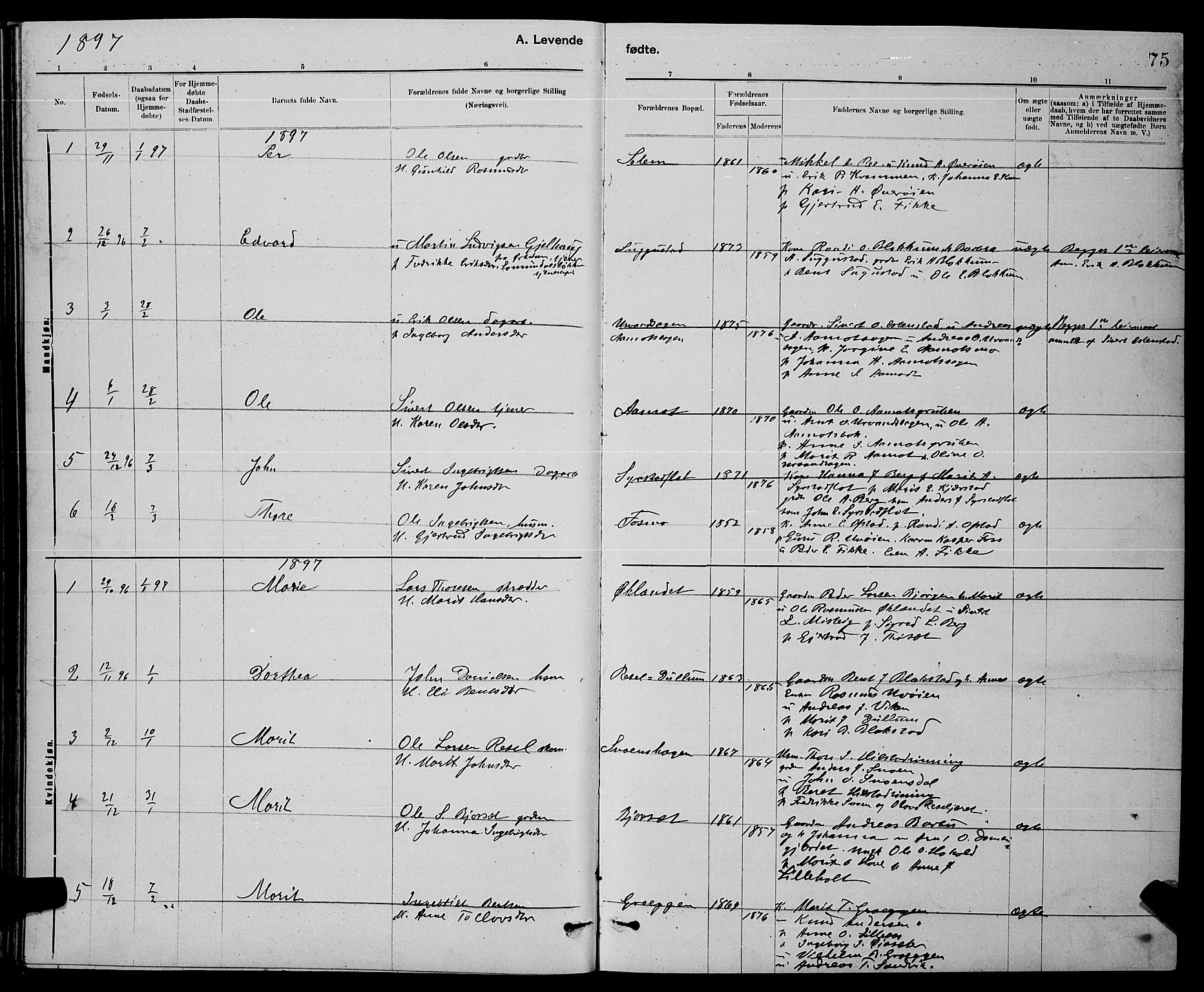 Ministerialprotokoller, klokkerbøker og fødselsregistre - Sør-Trøndelag, AV/SAT-A-1456/672/L0863: Parish register (copy) no. 672C02, 1888-1901, p. 75