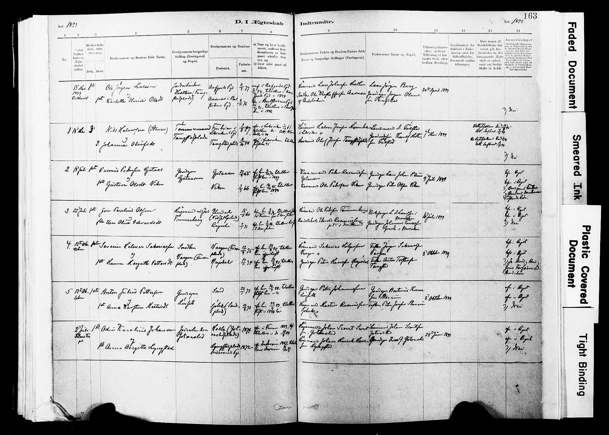 Ministerialprotokoller, klokkerbøker og fødselsregistre - Nord-Trøndelag, AV/SAT-A-1458/744/L0420: Parish register (official) no. 744A04, 1882-1904, p. 163