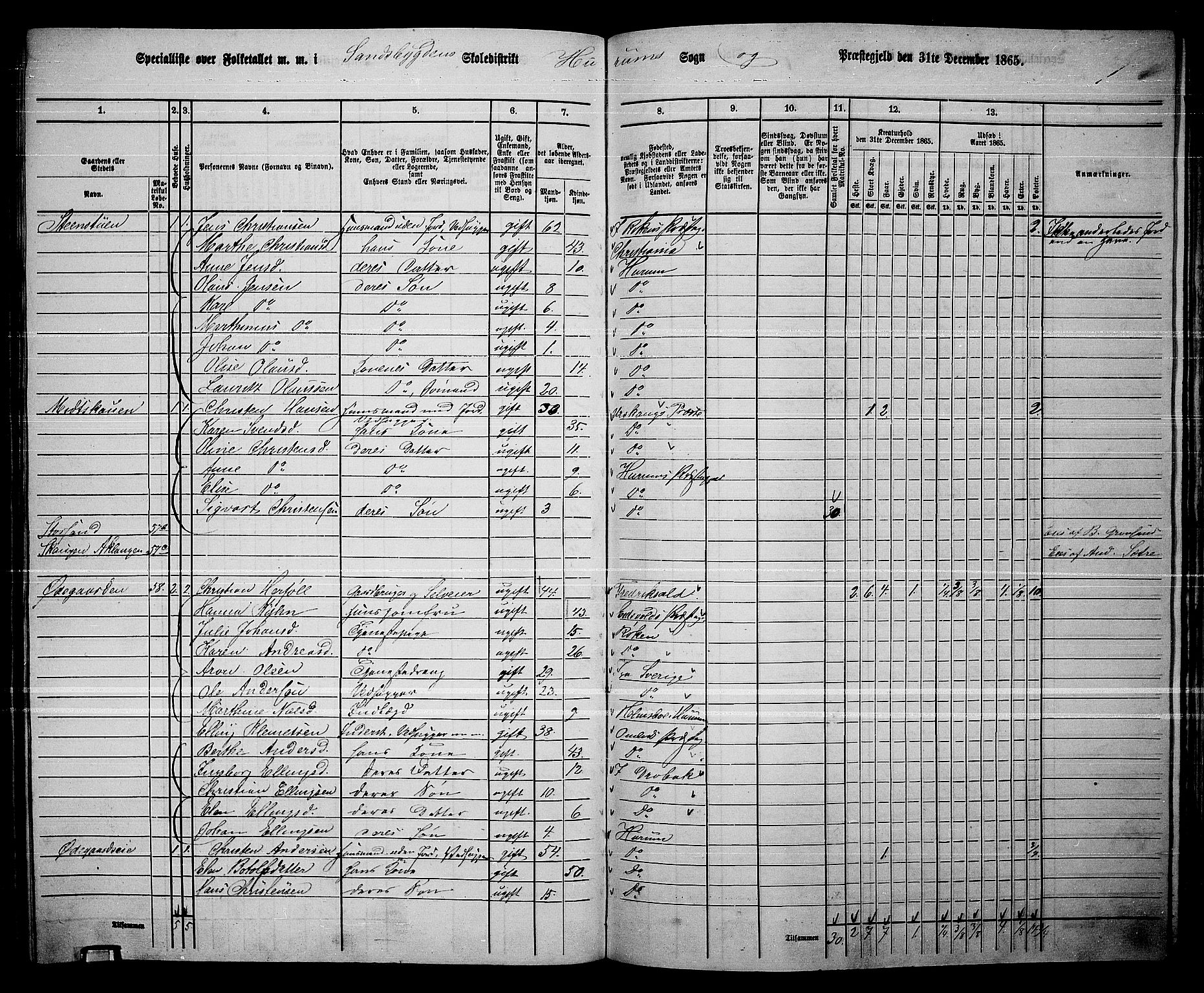 RA, 1865 census for Hurum, 1865, p. 84