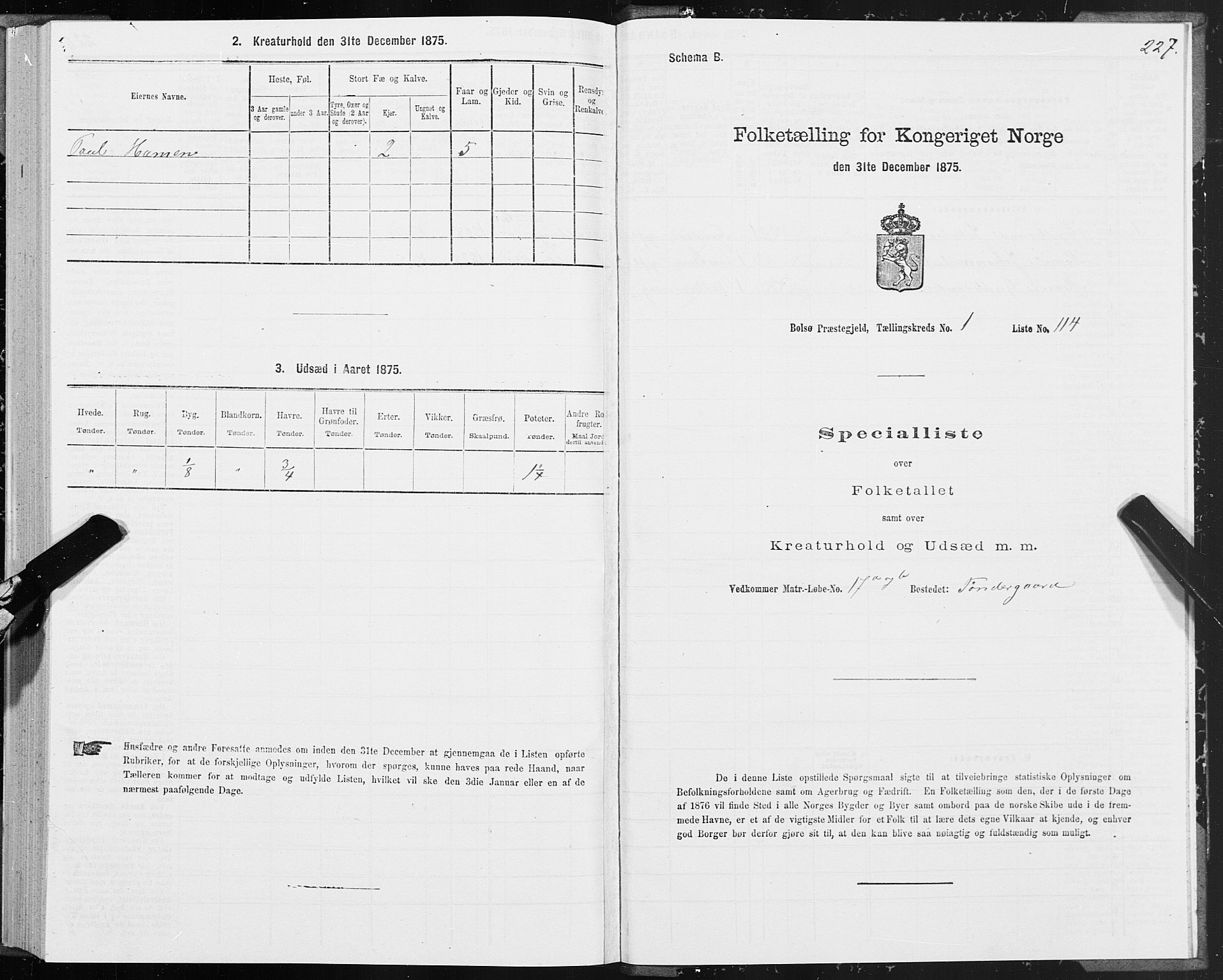 SAT, 1875 census for 1544P Bolsøy, 1875, p. 1227