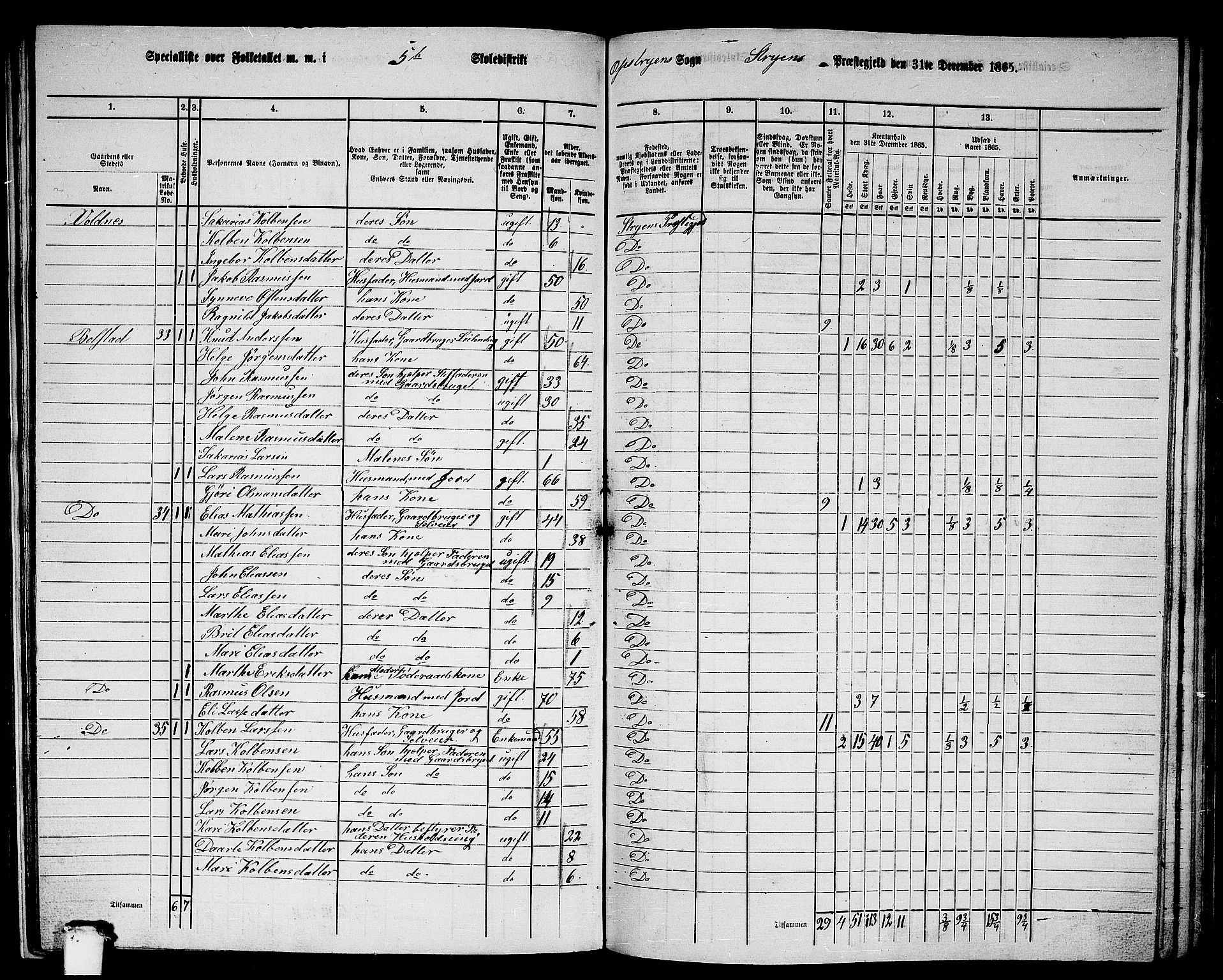RA, 1865 census for Stryn, 1865, p. 33