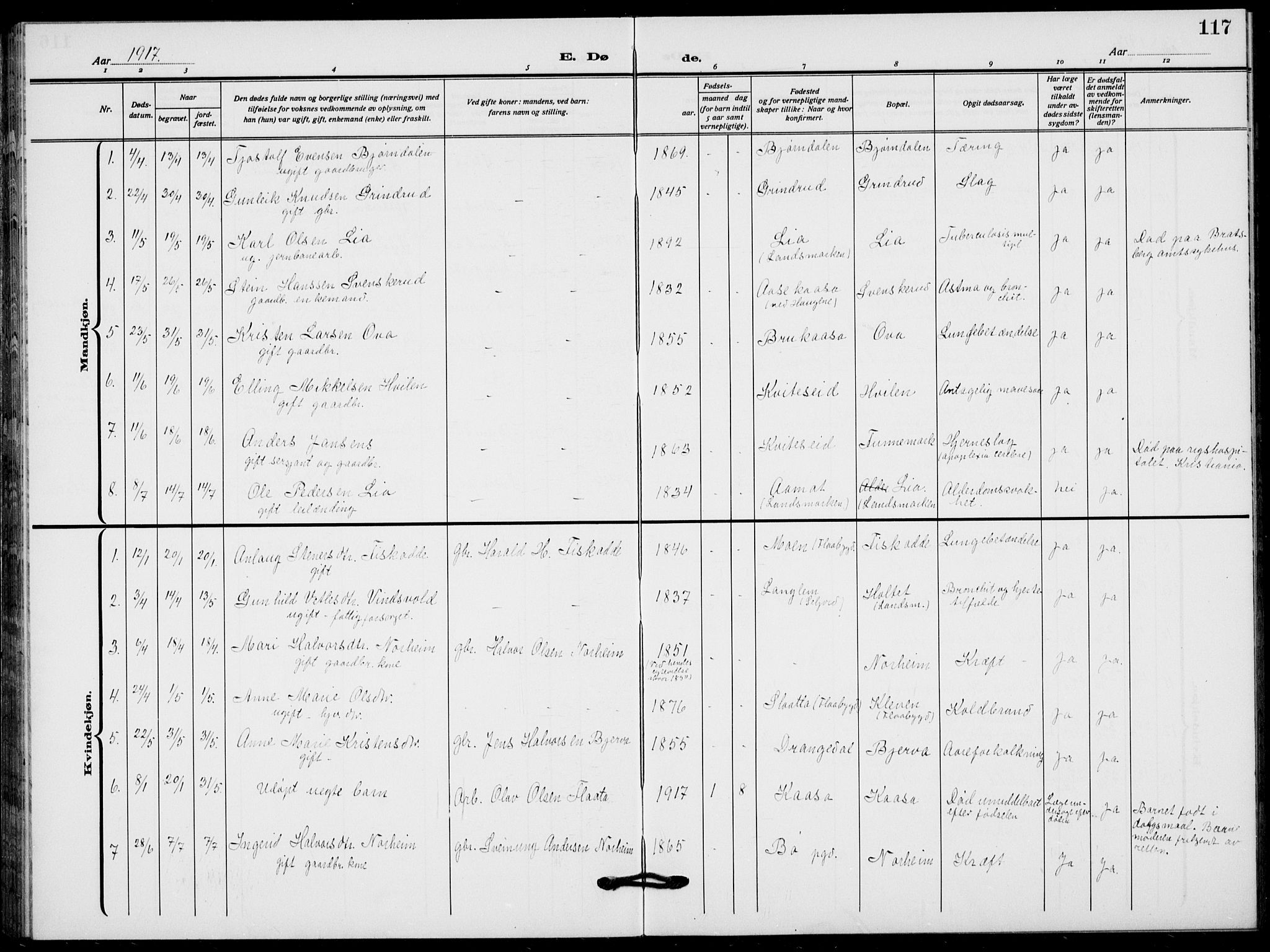 Lunde kirkebøker, SAKO/A-282/F/Fa/L0005: Parish register (official) no. I 5, 1914-1922, p. 117