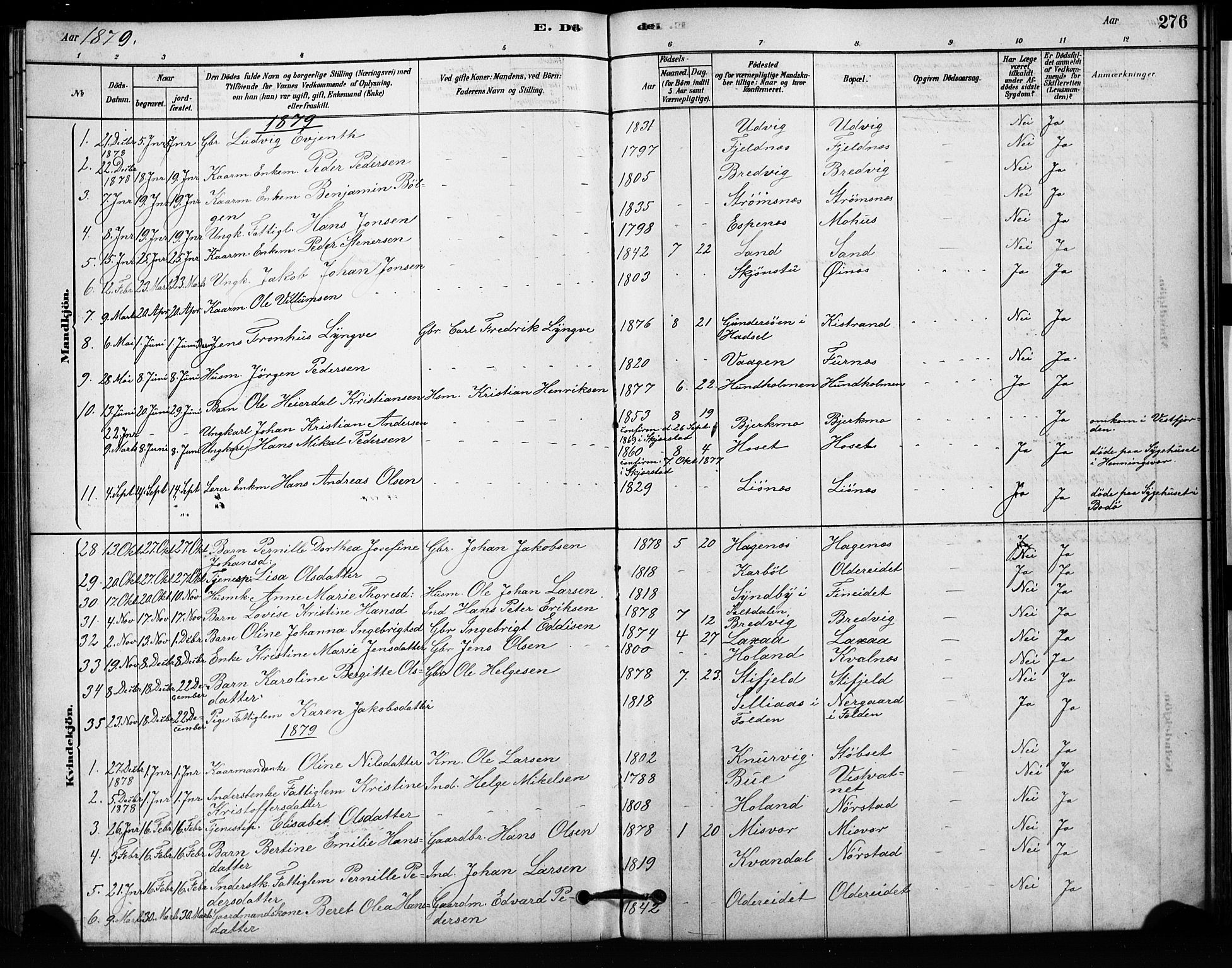 Ministerialprotokoller, klokkerbøker og fødselsregistre - Nordland, AV/SAT-A-1459/852/L0754: Parish register (copy) no. 852C05, 1878-1894, p. 276