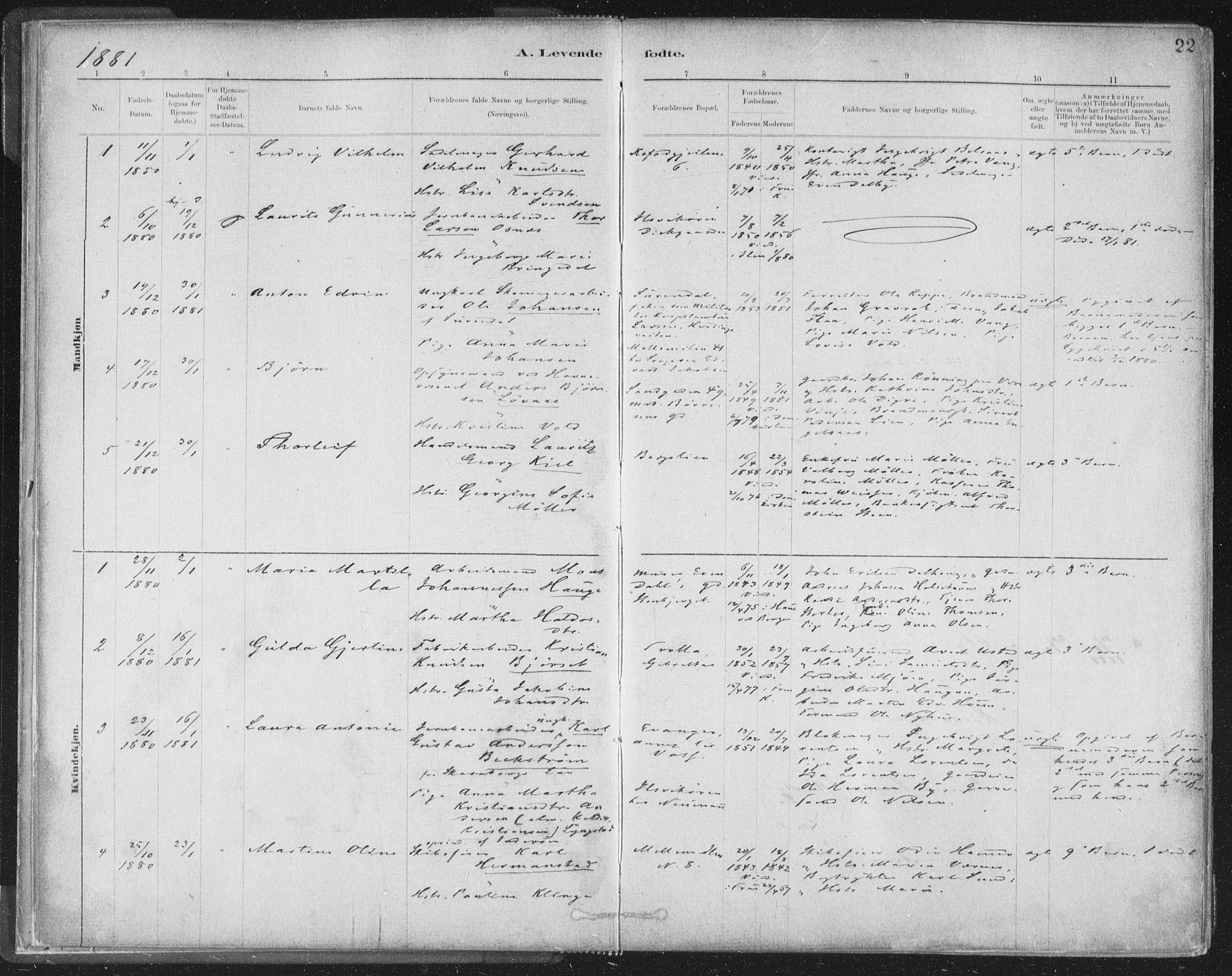 Ministerialprotokoller, klokkerbøker og fødselsregistre - Sør-Trøndelag, AV/SAT-A-1456/603/L0162: Parish register (official) no. 603A01, 1879-1895, p. 22