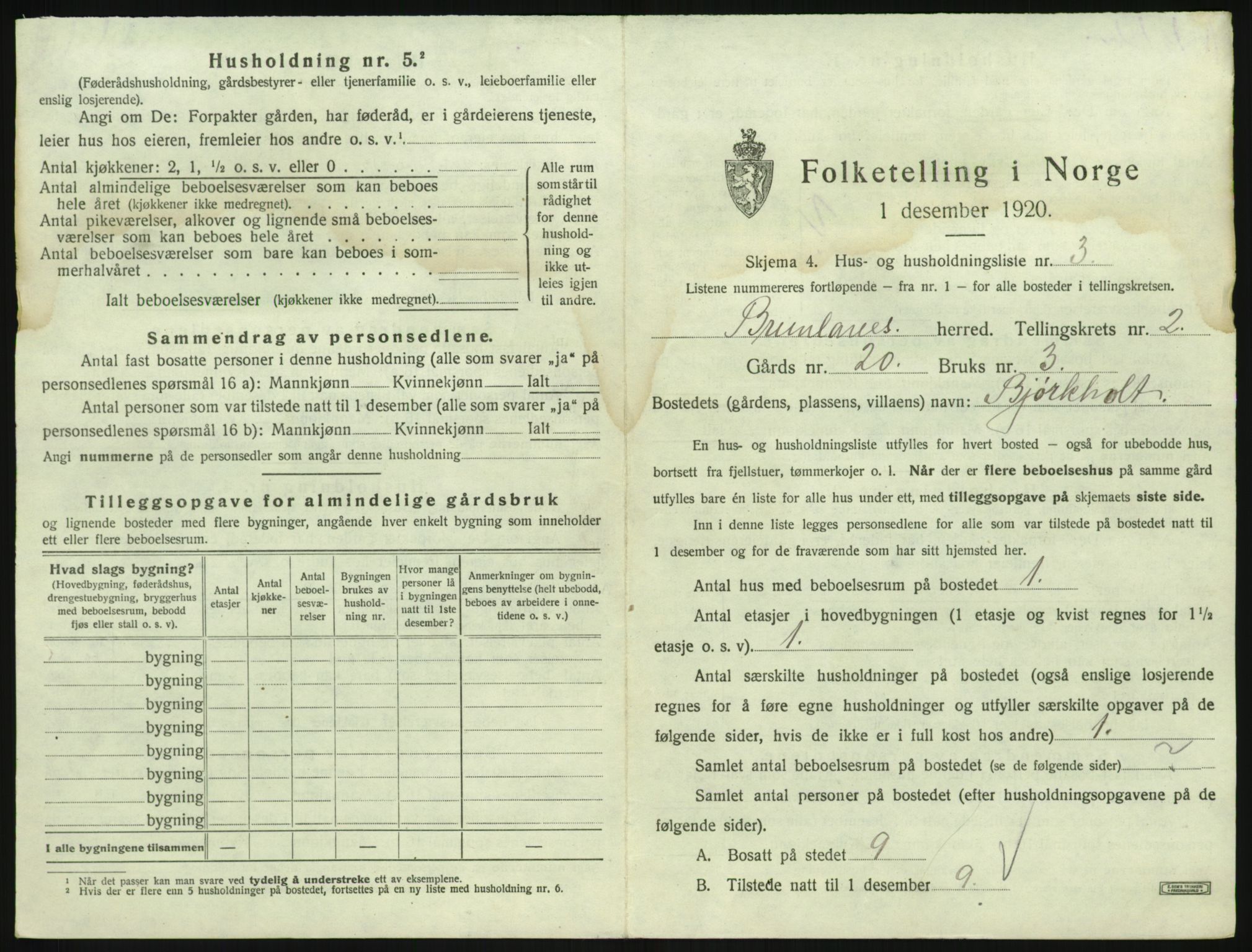 SAKO, 1920 census for Brunlanes, 1920, p. 317