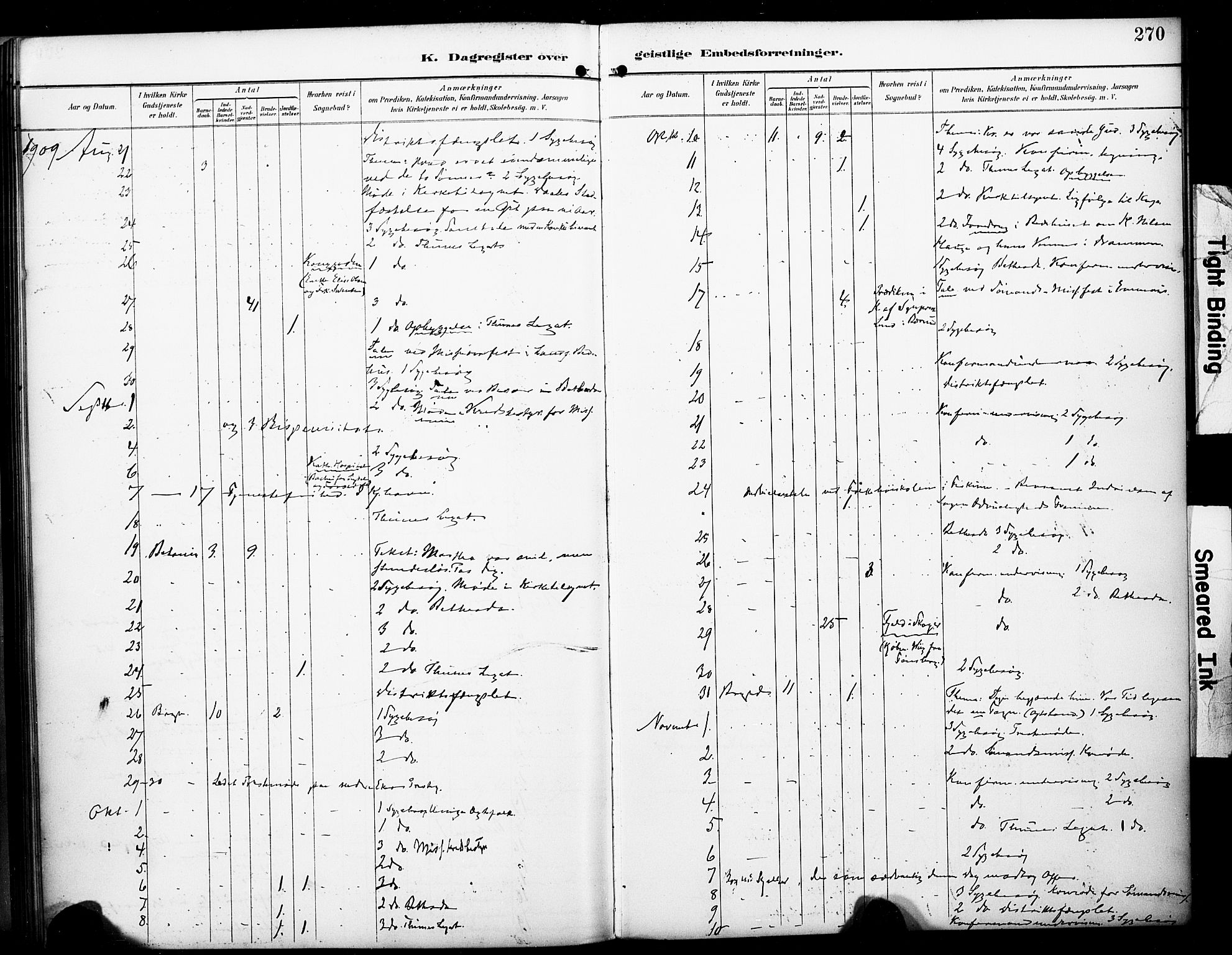 Bragernes kirkebøker, AV/SAKO-A-6/F/Fc/L0006: Parish register (official) no. III 6, 1888-1899, p. 270