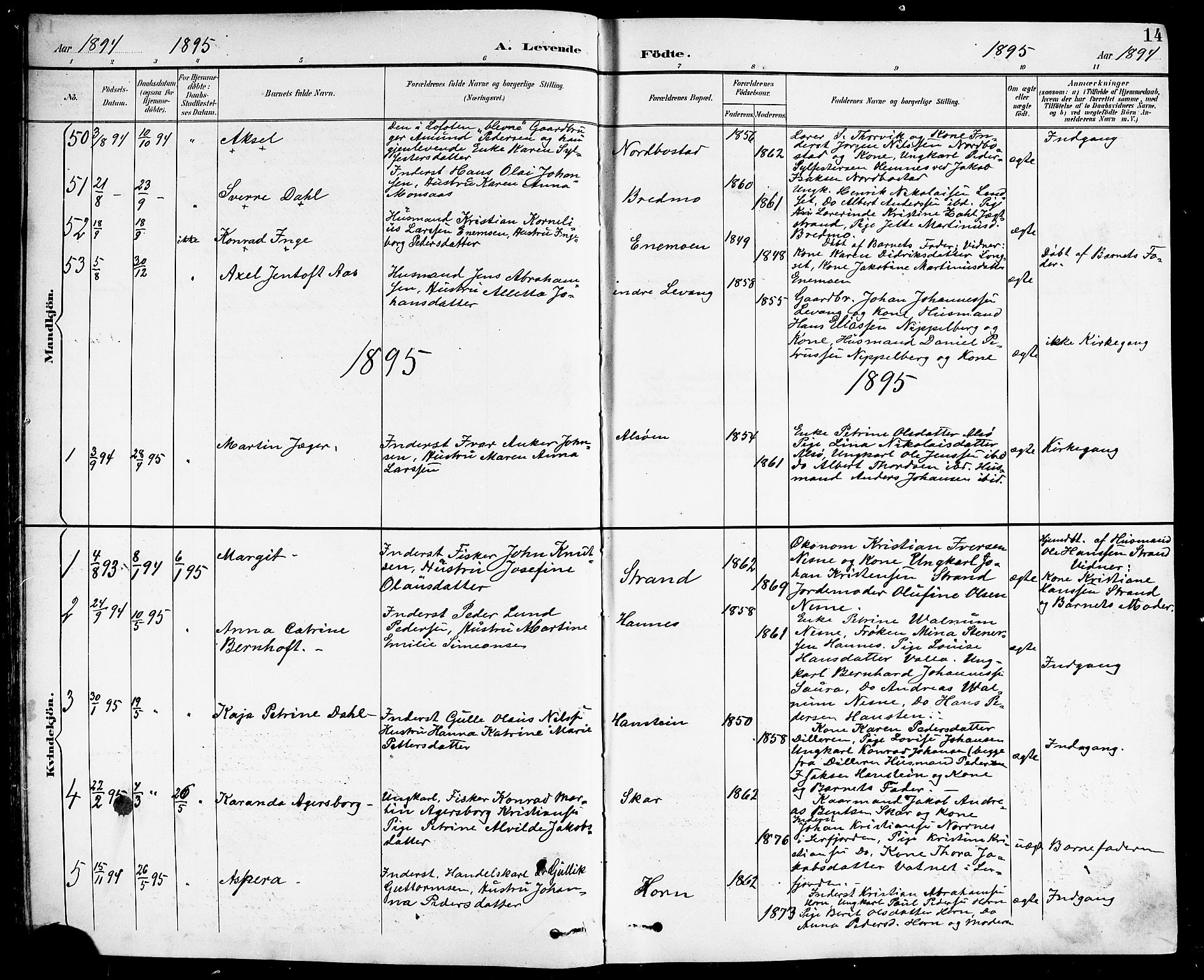 Ministerialprotokoller, klokkerbøker og fødselsregistre - Nordland, SAT/A-1459/838/L0559: Parish register (copy) no. 838C06, 1893-1910, p. 14