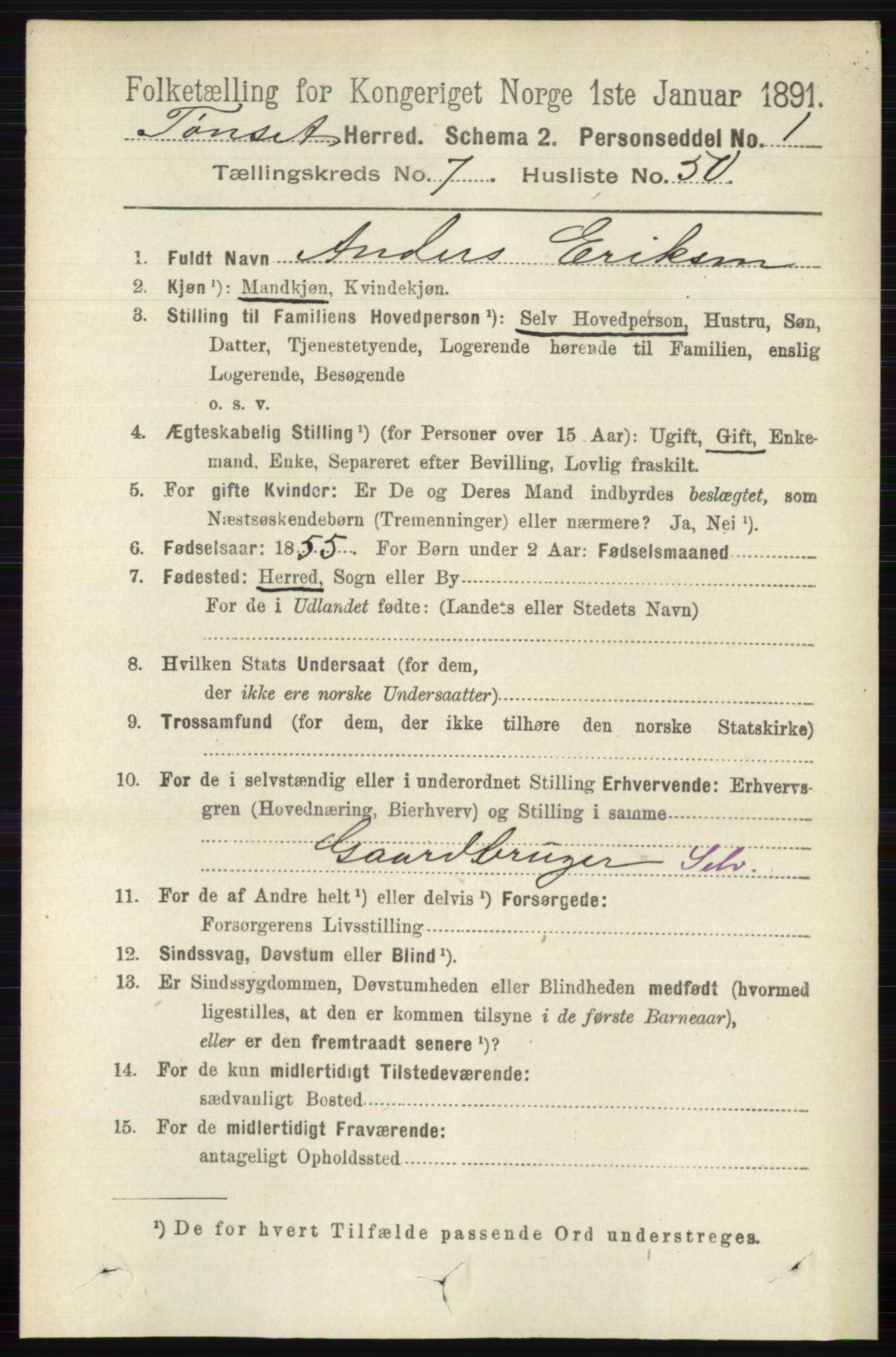 RA, 1891 census for 0437 Tynset, 1891, p. 2021